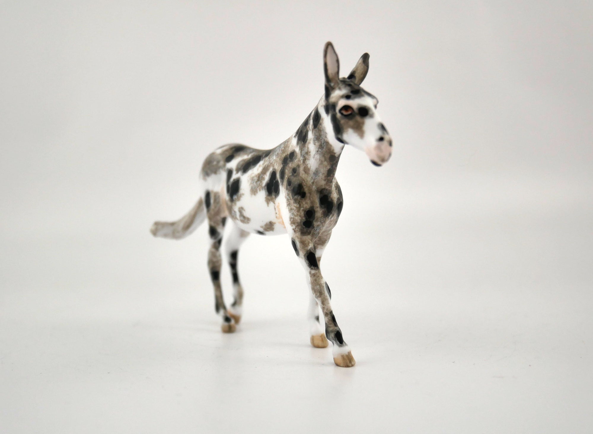 Dolbee-OOAK Mule Appaloosa Chip By Andrea MM 2020