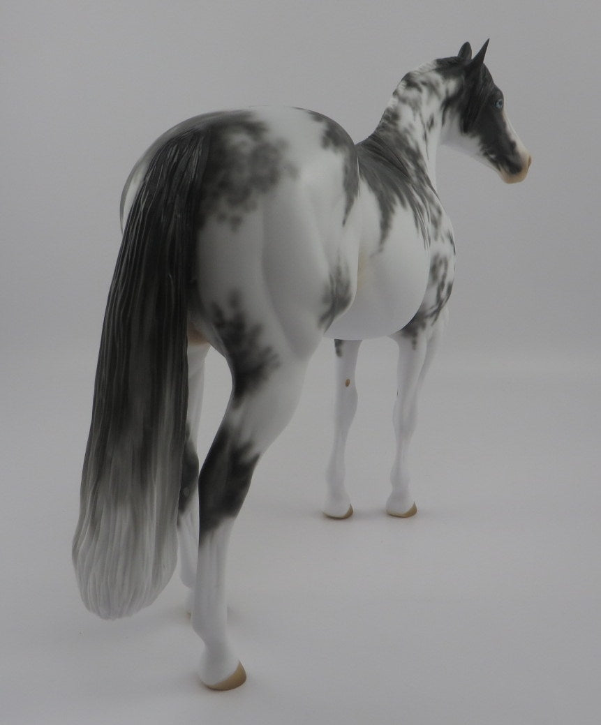 DOVE-OOAK Black Sabino ISH Model Horse EQ 2020