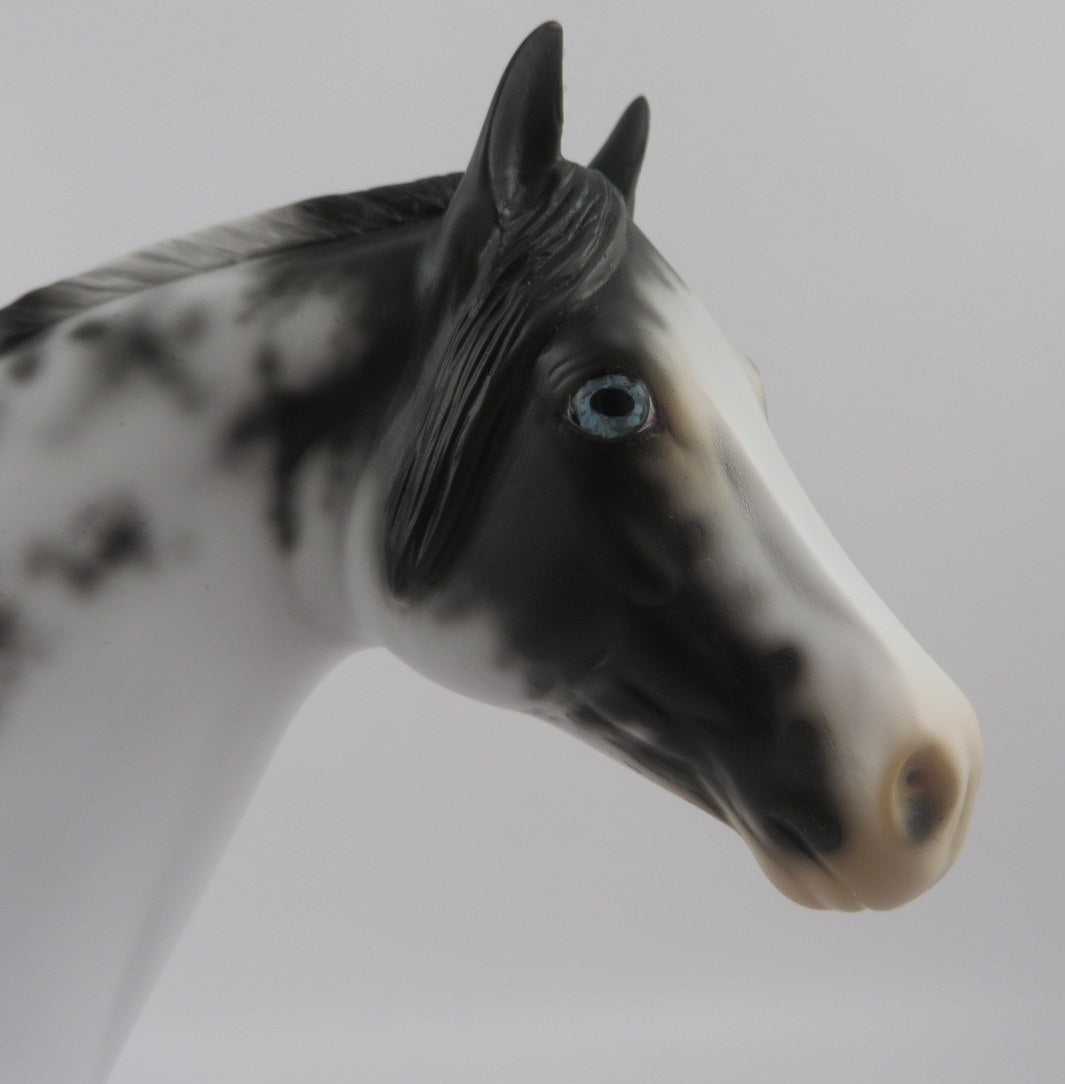 DOVE-OOAK Black Sabino ISH Model Horse EQ 2020