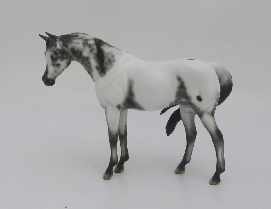 DUFFY - OOAK SABINO ARABIAN MARE PEBBLE BY DAWN QUICK 3/5/20