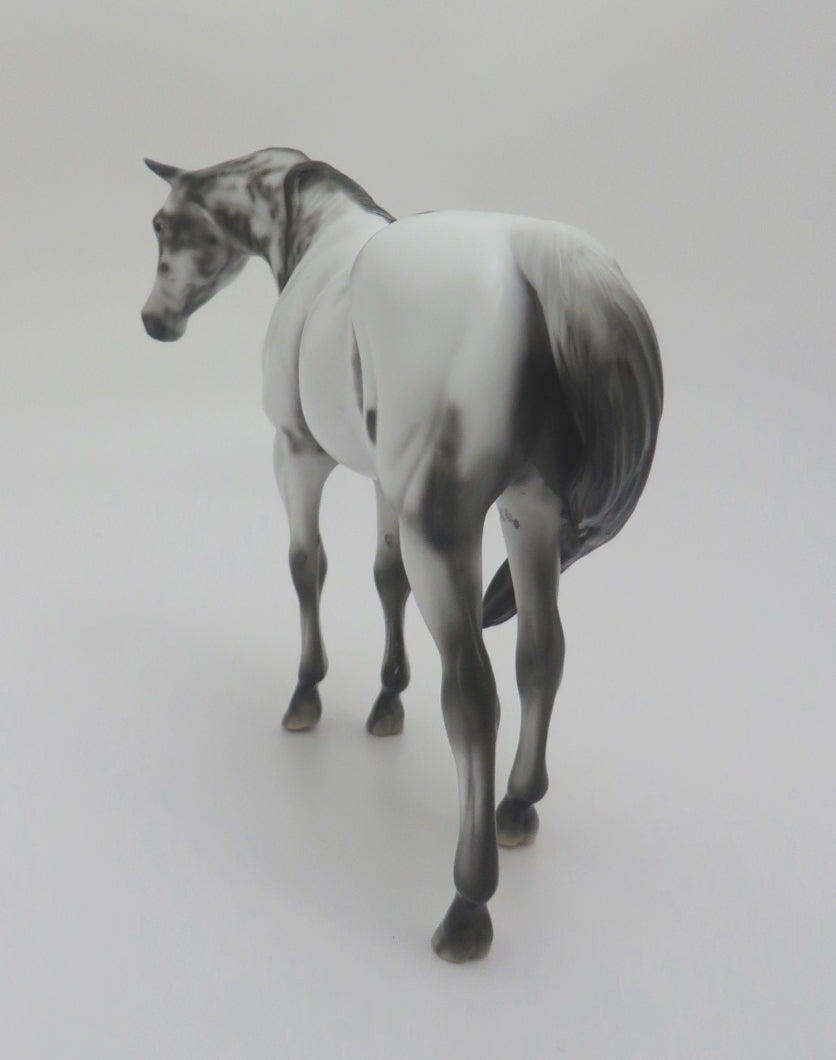 DUFFY - OOAK SABINO ARABIAN MARE PEBBLE BY DAWN QUICK 3/5/20