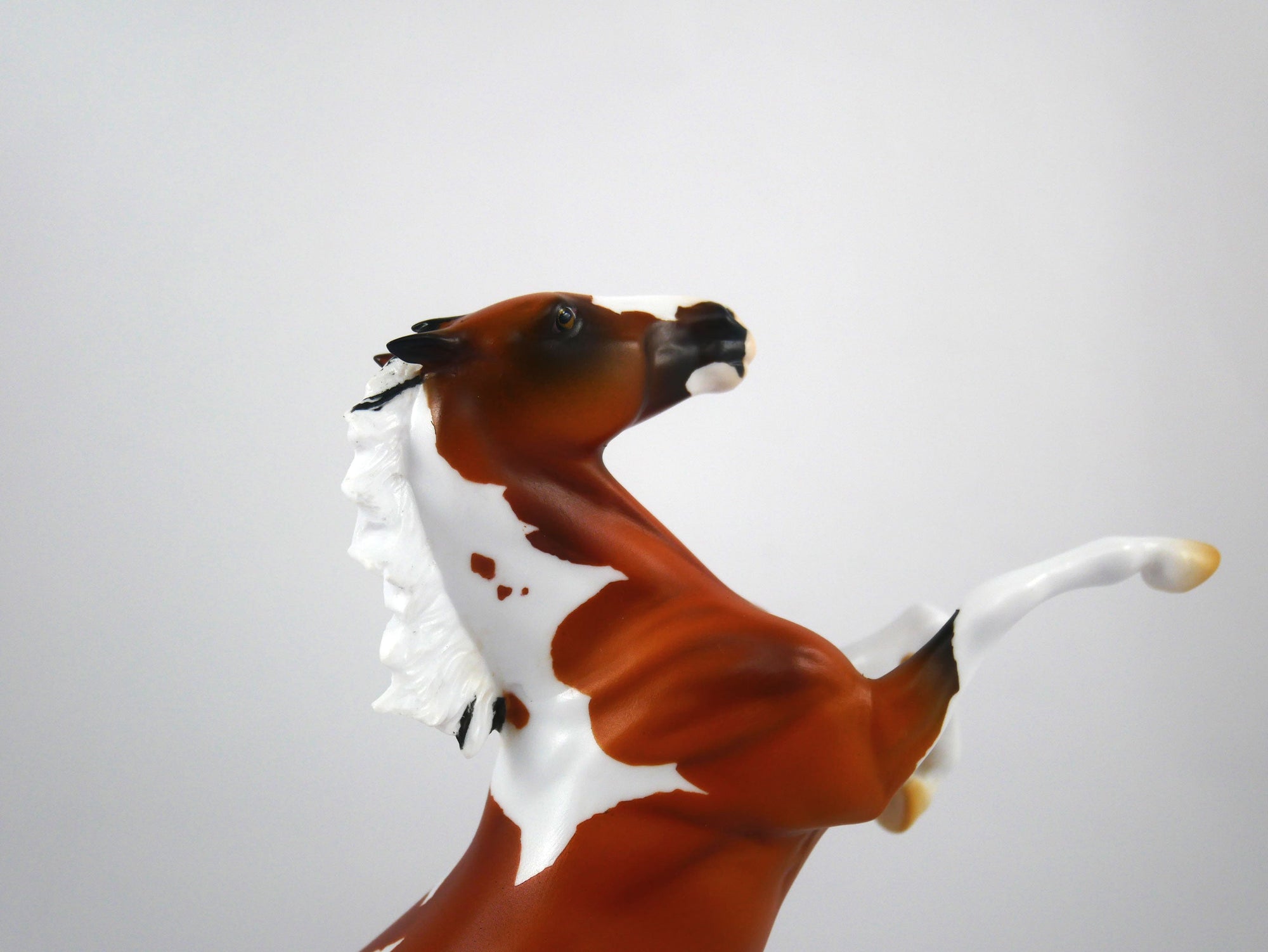 Aloha-OOAK Rearing Pebbles Paint By Ellen Robbins 12/30/20