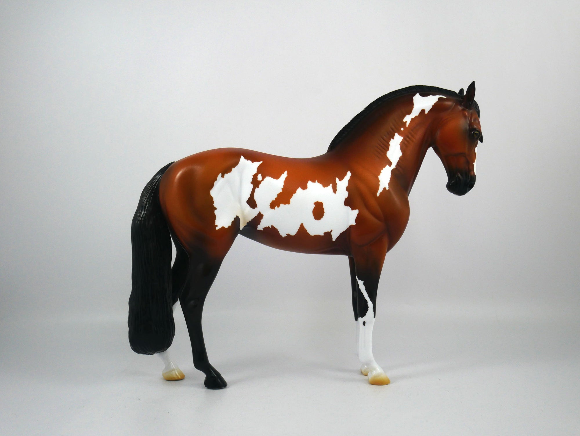 Arrivederci-OOAK Bay Paint Andalusian Painted By Ellen Robbins 12/30/20