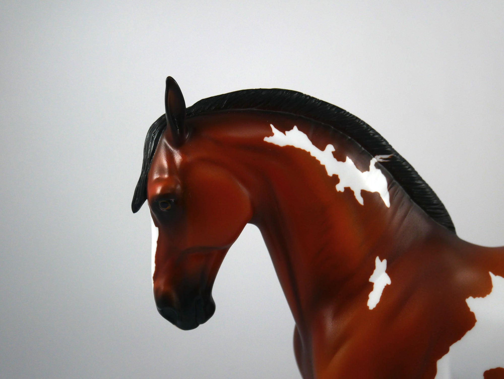 Arrivederci-OOAK Bay Paint Andalusian Painted By Ellen Robbins 12/30/20