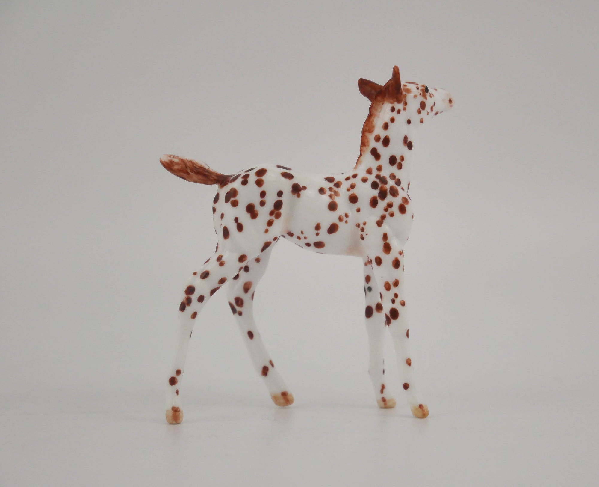 EMBERWHIRL -OOAK CHESTNUT LEOPARD APPALOOSA FOAL BY ANDREA