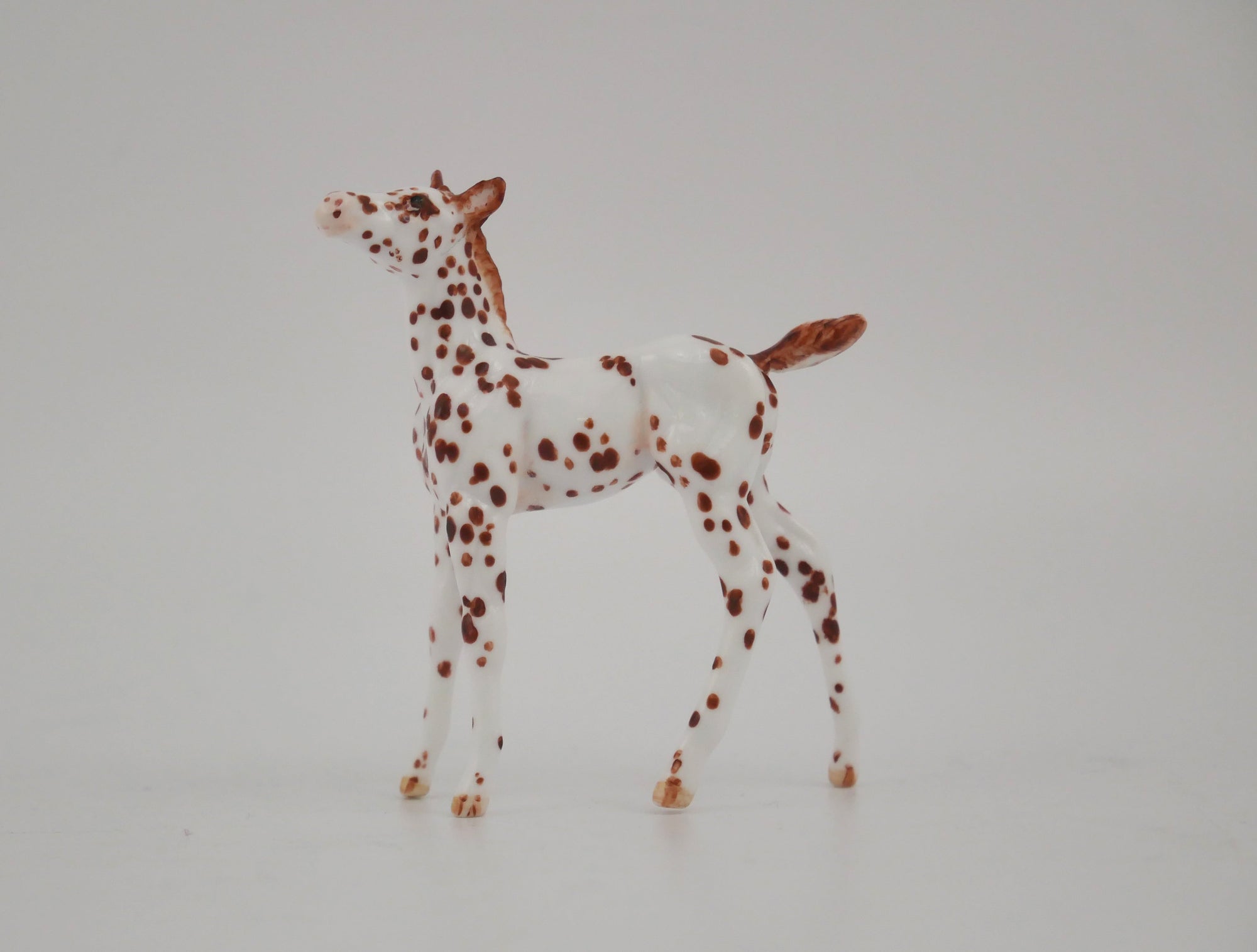 EMBERWHIRL -OOAK CHESTNUT LEOPARD APPALOOSA FOAL BY ANDREA