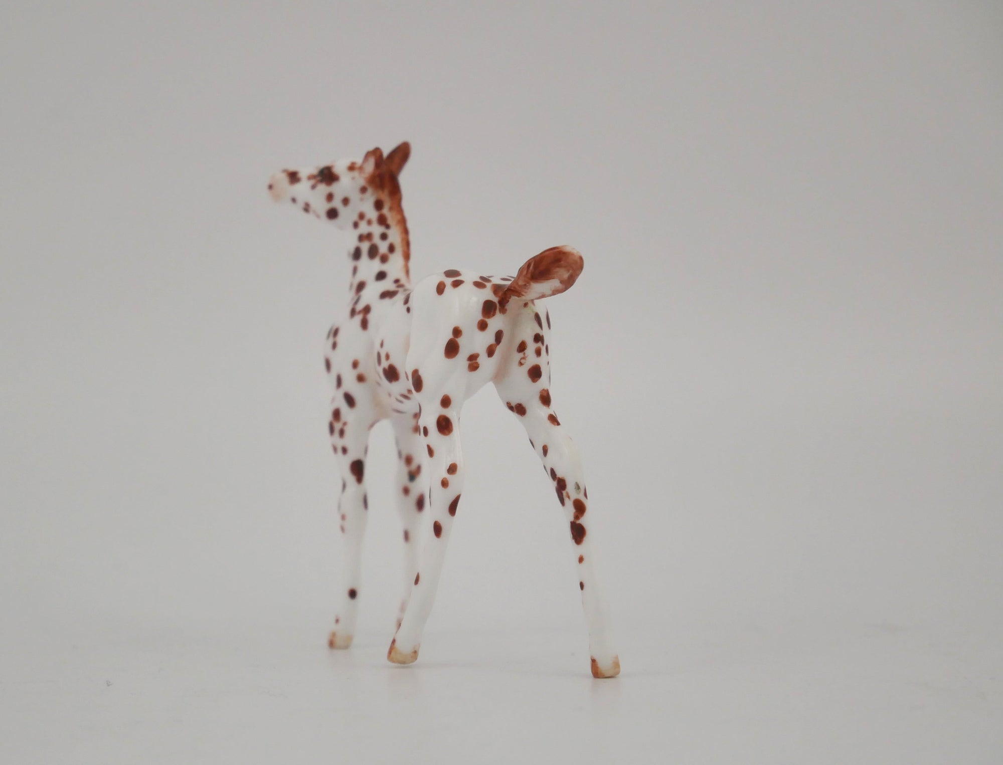 EMBERWHIRL -OOAK CHESTNUT LEOPARD APPALOOSA FOAL BY ANDREA