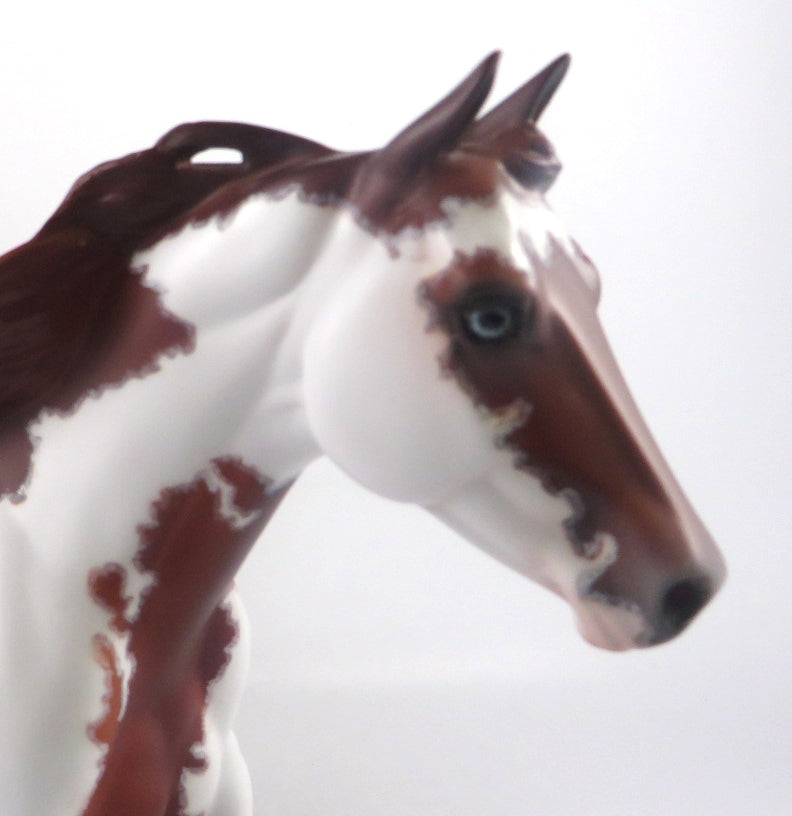 EYE OF THE STORM - OOAK DAPPLE CHESTNUT PINTO FOUNDATION QUARTER HORSE BY DAWN QUICK SB20