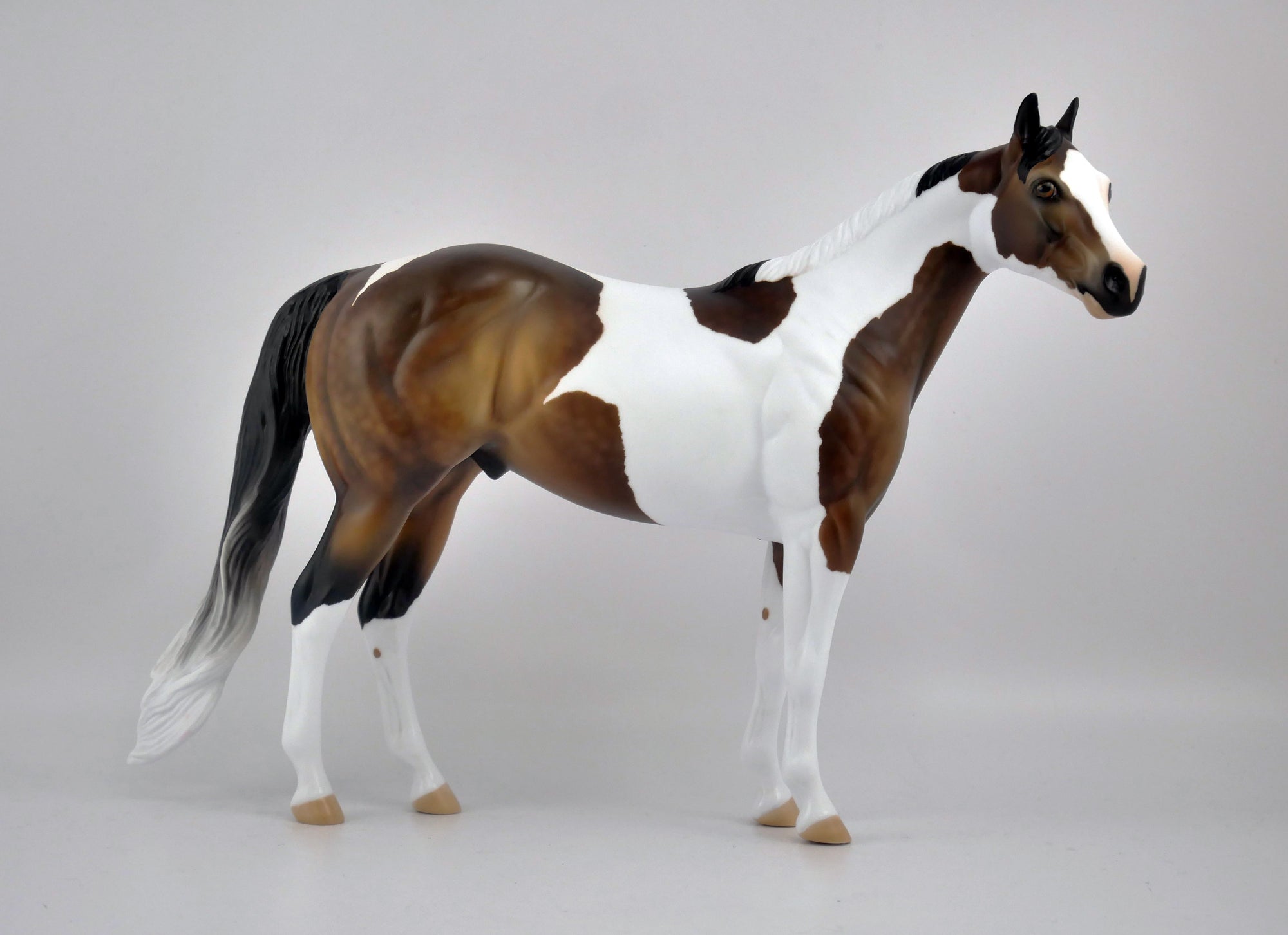 FAIRFAX-OOAK DAPPLE BAY PINTO ISH BY AUDREY DIXON