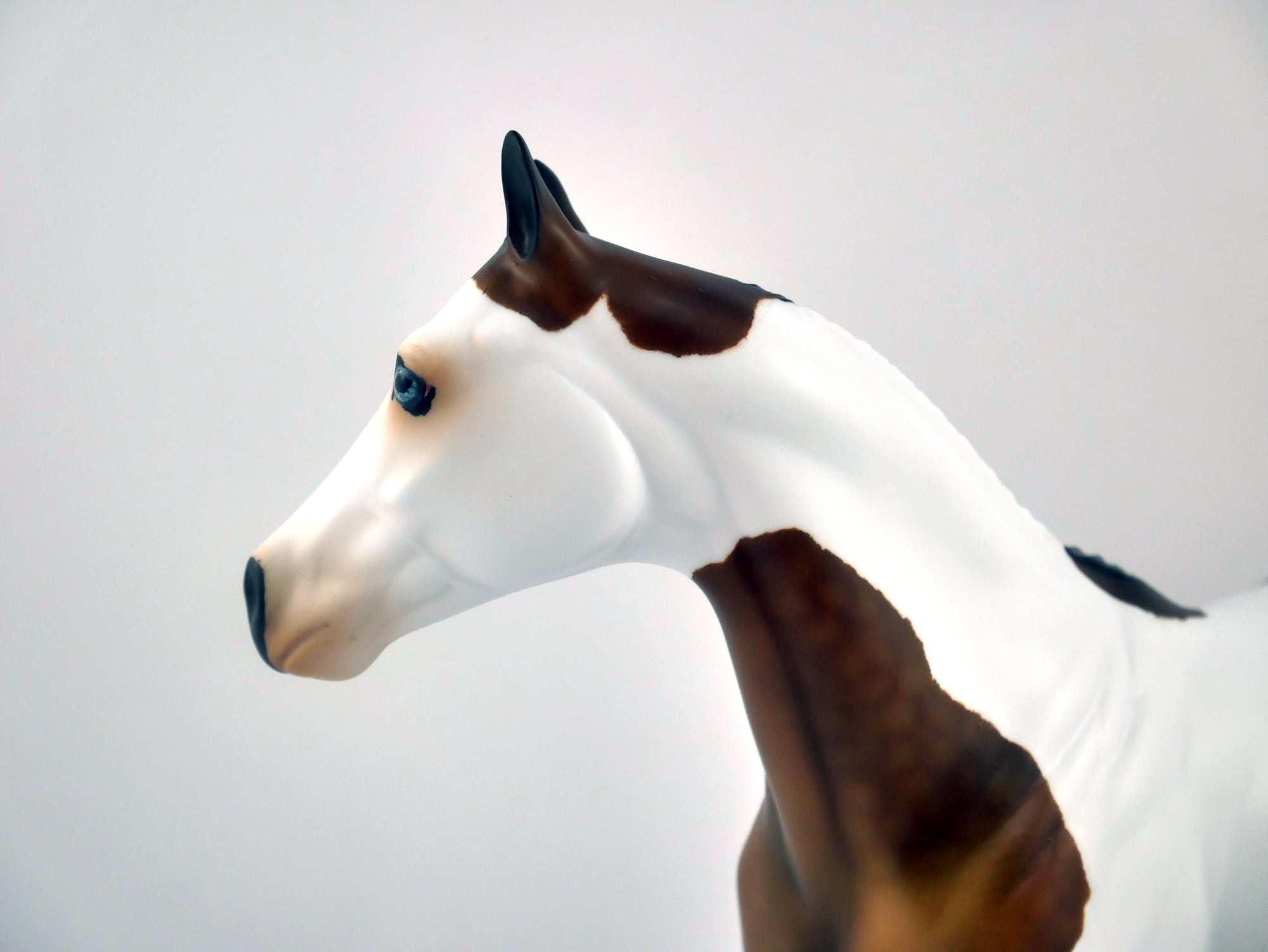 FAIRFAX-OOAK DAPPLE BAY PINTO ISH BY AUDREY DIXON