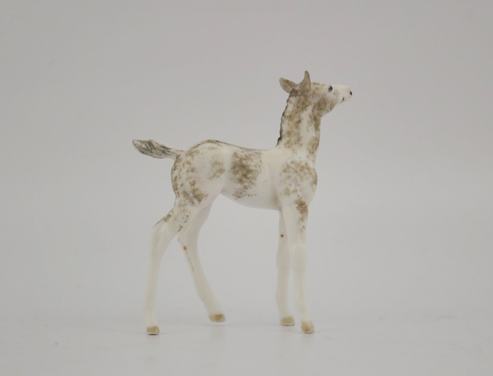 FANCIFUL-OOAK GRULLA SABINO FOAL BY ANDREA