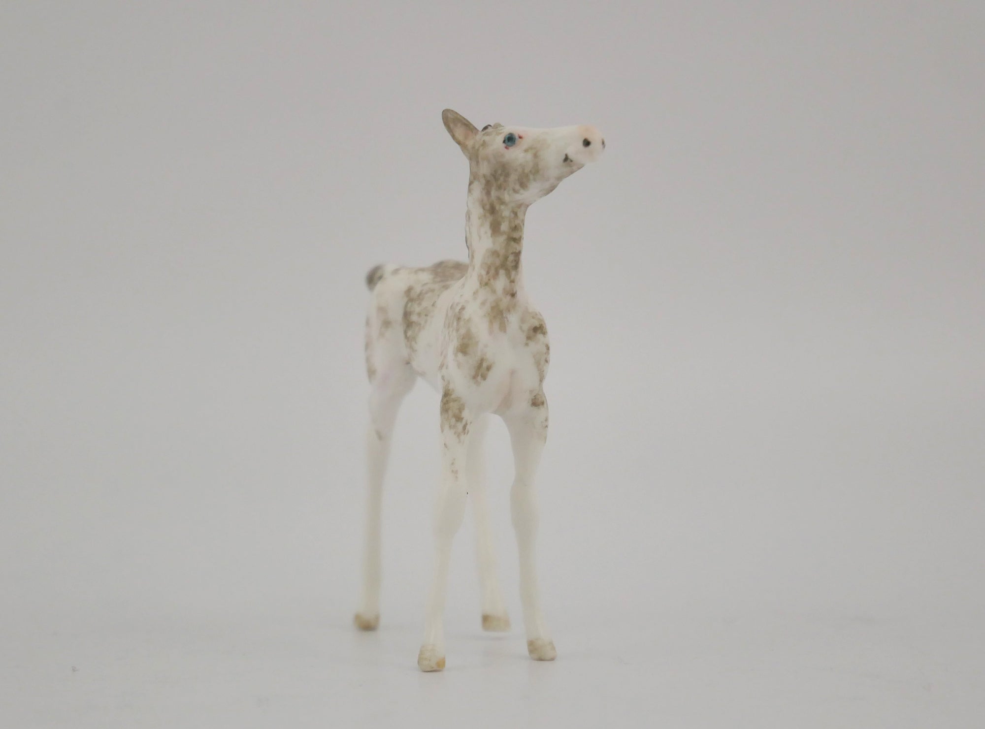 FANCIFUL-OOAK GRULLA SABINO FOAL BY ANDREA