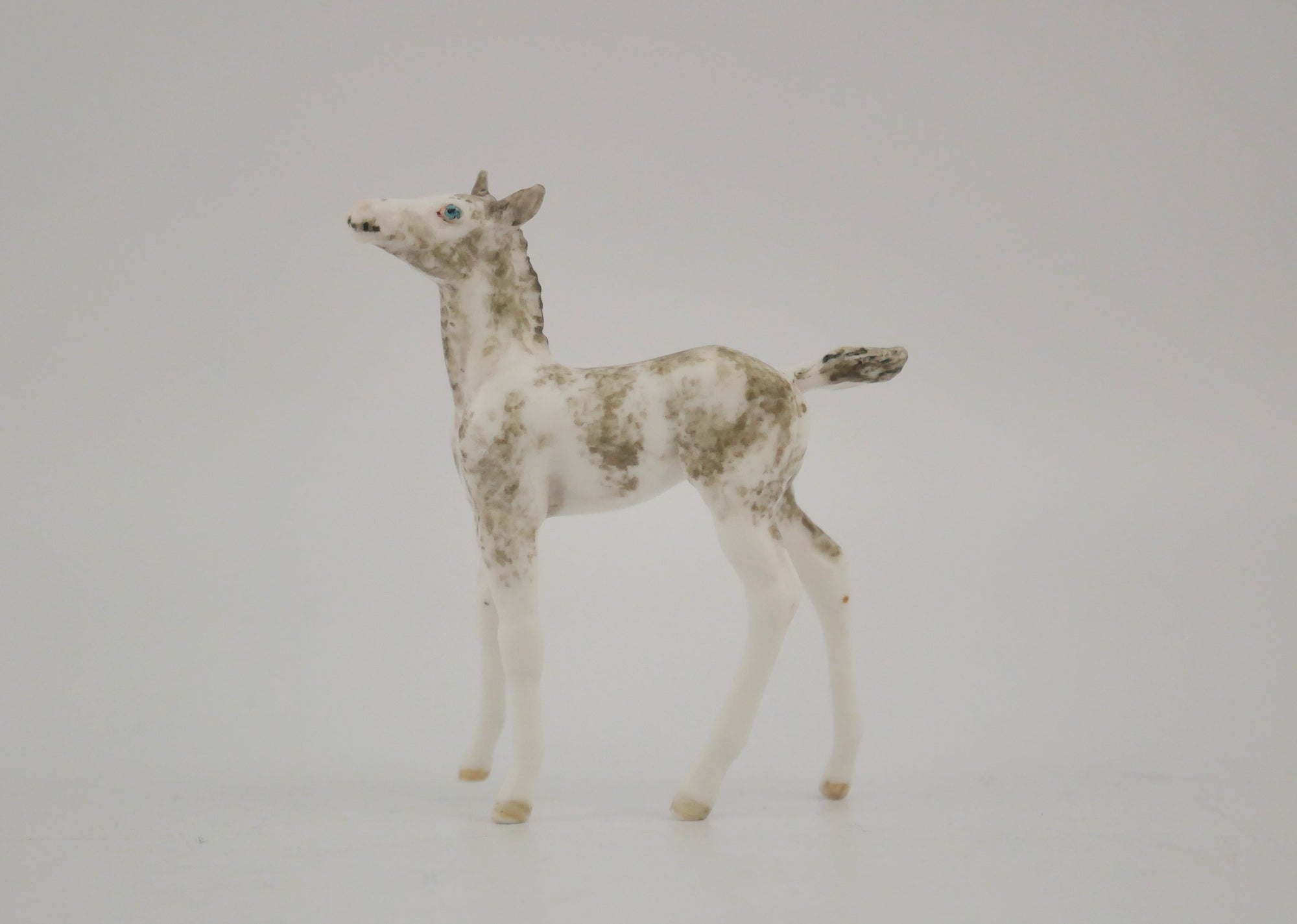 FANCIFUL-OOAK GRULLA SABINO FOAL BY ANDREA