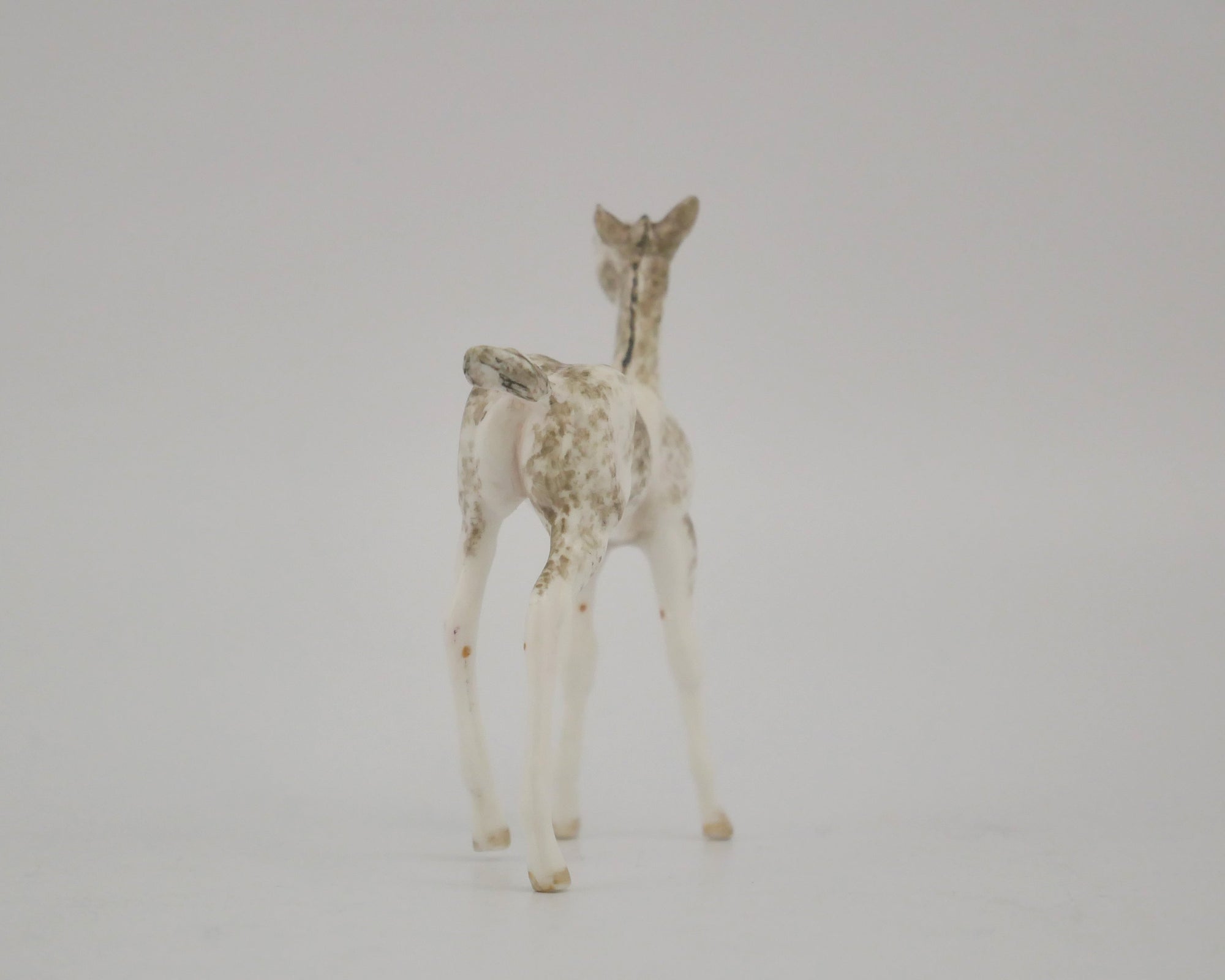 FANCIFUL-OOAK GRULLA SABINO FOAL BY ANDREA