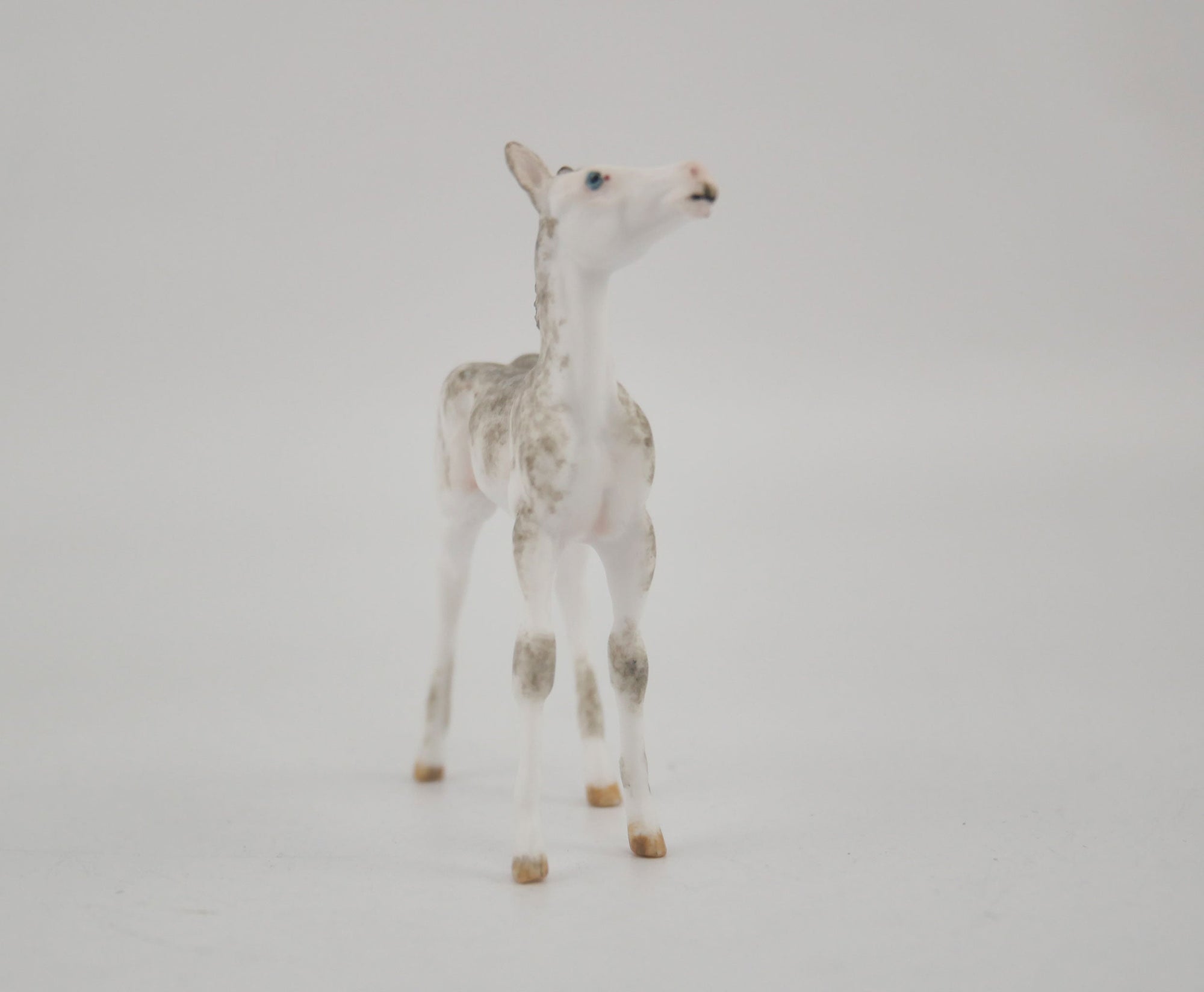 Feald-OOAK Foal Brindle Chip By Andrea MM 2020