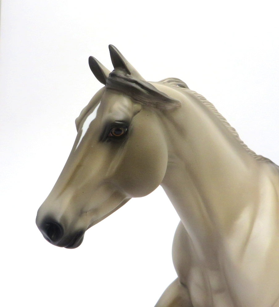 FERGUS-OOAK GRULLA FOUNDATION RUNNING QUARTER HORSE BY AUDREY DIXON 2/27/20