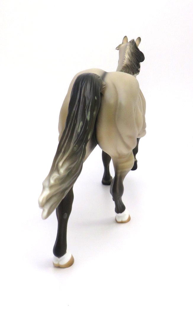 FERGUS-OOAK GRULLA FOUNDATION RUNNING QUARTER HORSE BY AUDREY DIXON 2/27/20