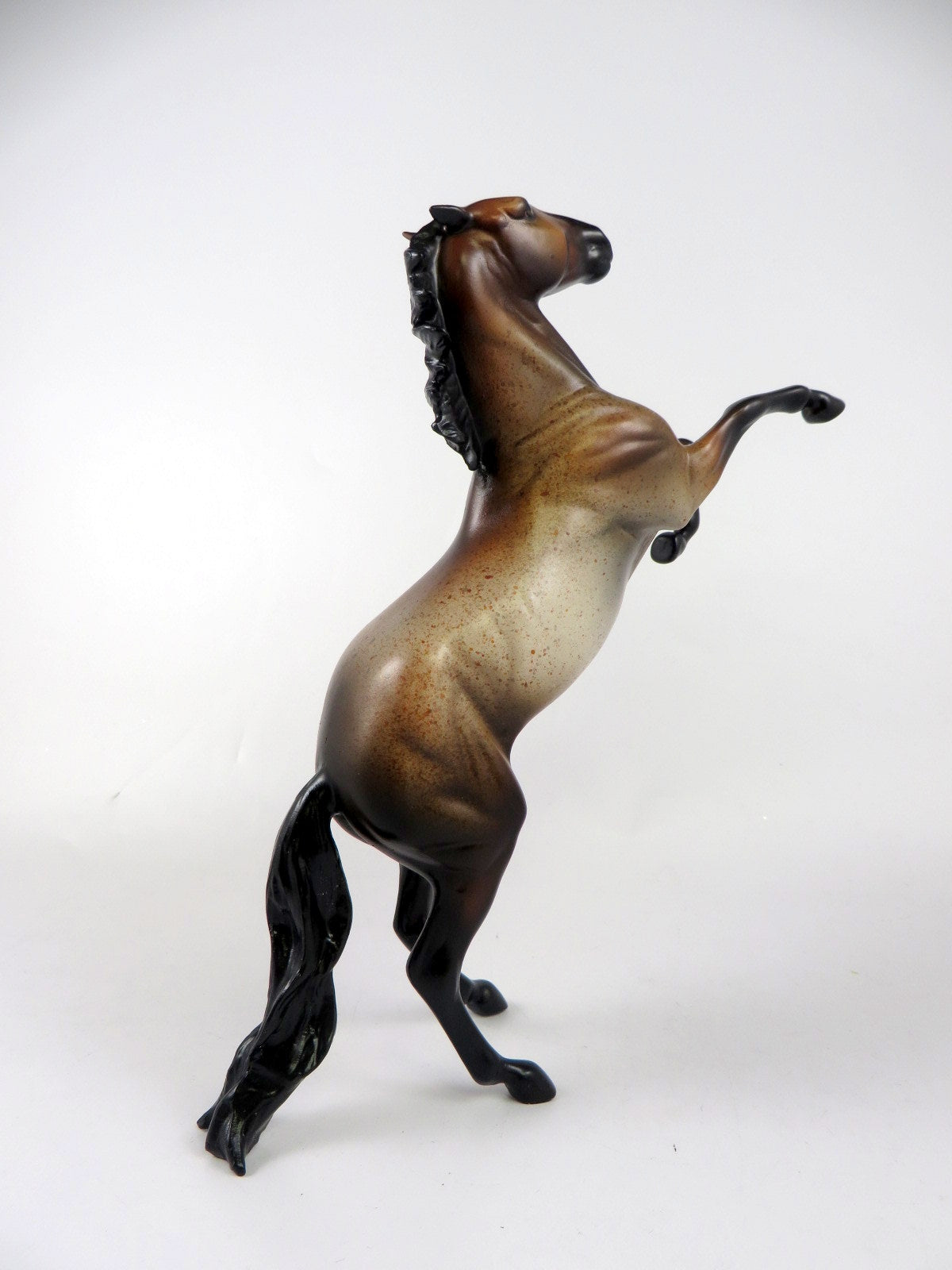 FIG - OOAK BAY ROAN REARING PEBBLES BY MELISSA FOX 11-8-19