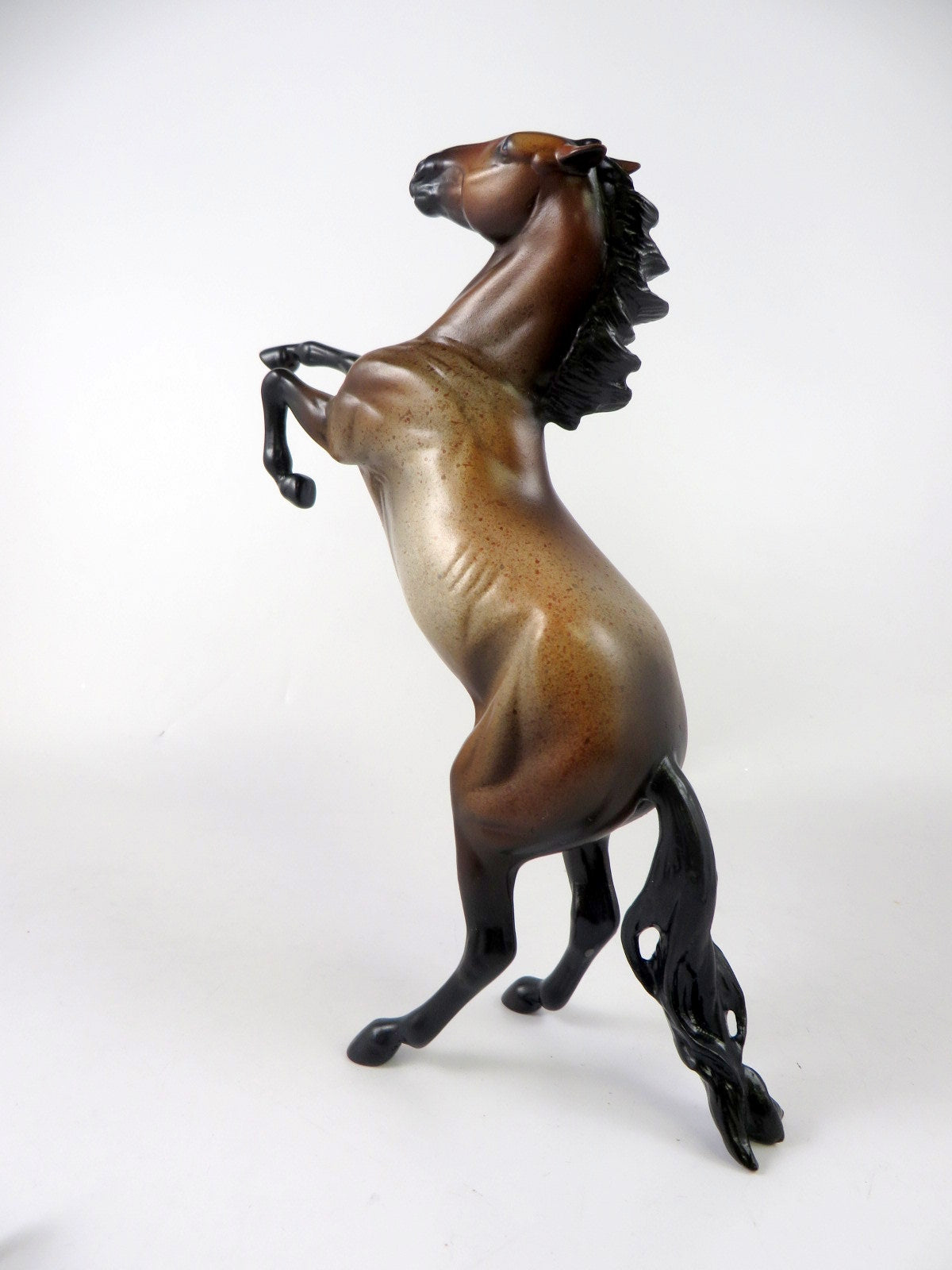 FIG - OOAK BAY ROAN REARING PEBBLES BY MELISSA FOX 11-8-19