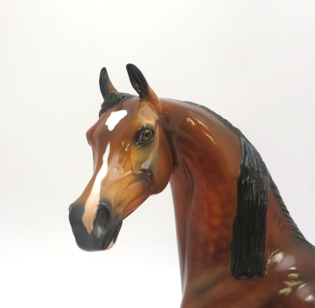 FIRE STARTER- LE-? GORGEOUS DAPPLE BAY ARABIAN BY AUDREY DIXON EA 2020