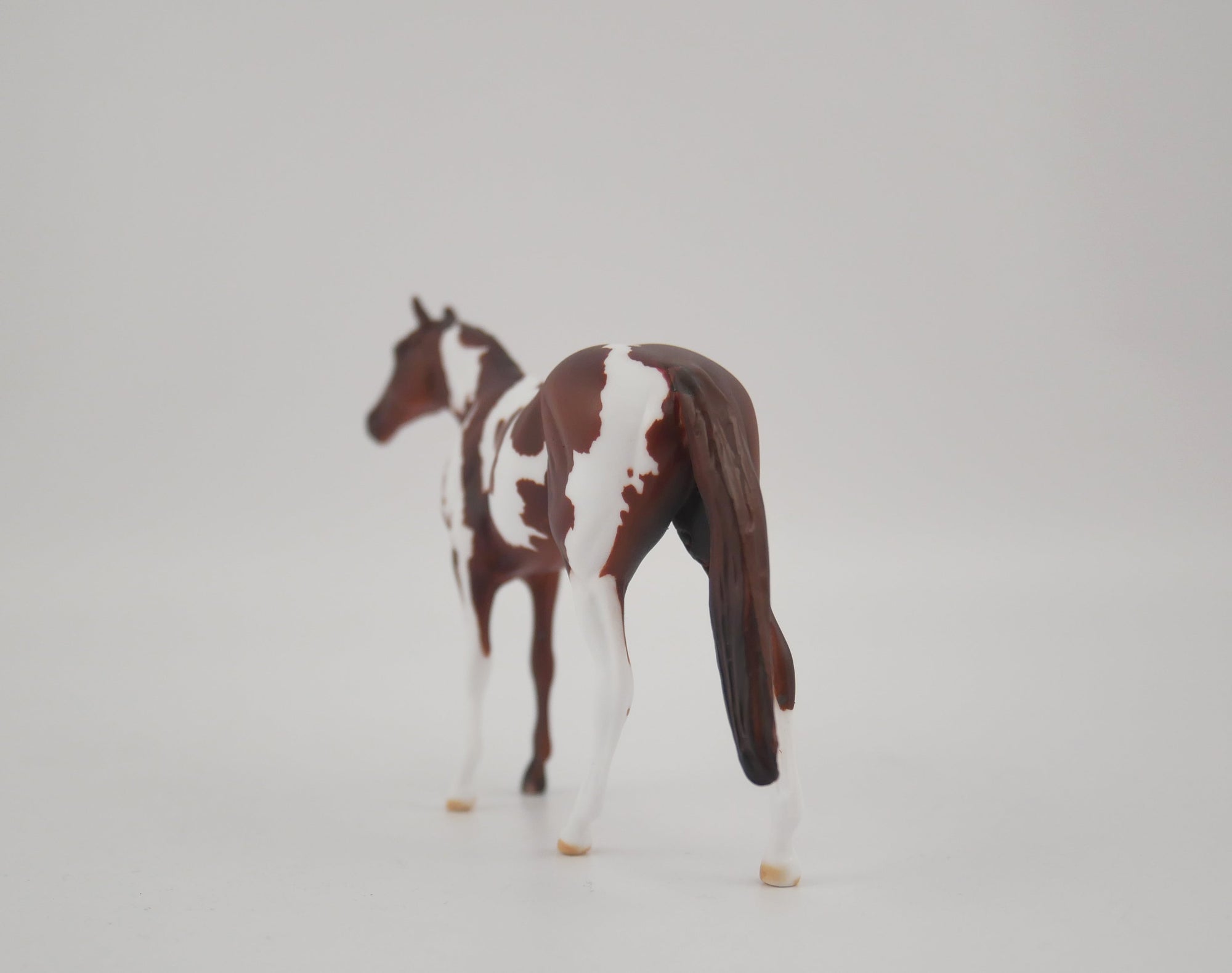 FIRED BRICK-OOAK CHESTNUT PINTO CHIP BY KAYLA WESSE EQ 2020
