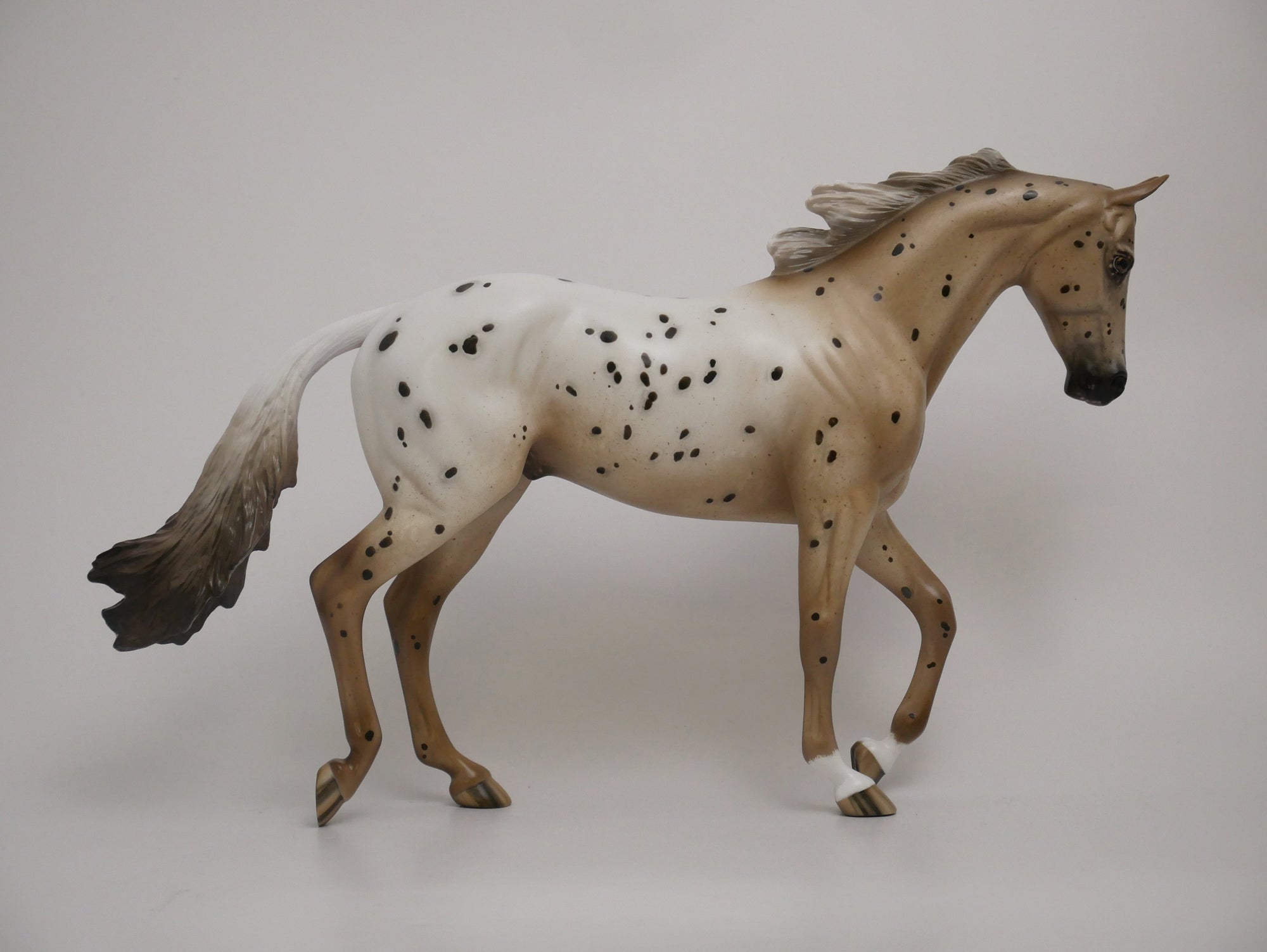 FLEEGLE-OOAK CHESTNUT APPALOOSA THOROUGHBRED MODEL HORSE BY SHERYL LEISURE 6/20/30
