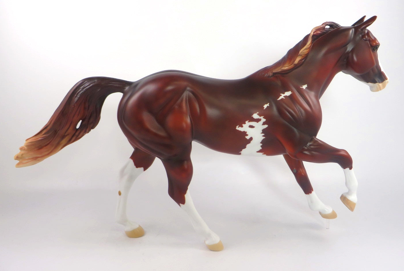 FORTY NINER-LE-5 LIVER CHESTNUT PINTO FOUNDATION QUARTER HORSE SB 20