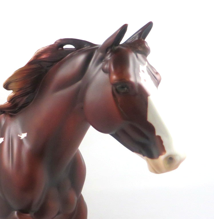 FORTY NINER-LE-5 LIVER CHESTNUT PINTO FOUNDATION QUARTER HORSE SB 20