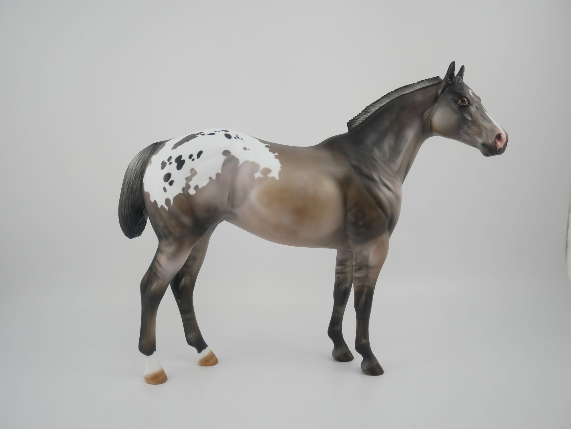 FRIDA-LE-25-GRULLA APPALOOSA FRIDAY DAILY RELEASE BY JULIE KEIM EQ 2020