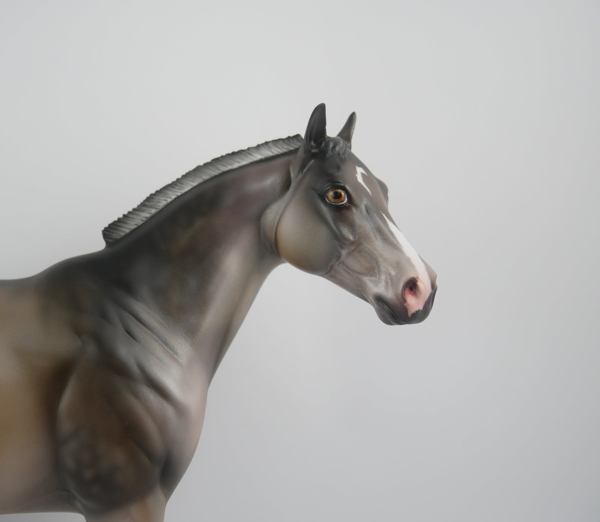 FRIDA-LE-25-GRULLA APPALOOSA FRIDAY DAILY RELEASE BY JULIE KEIM EQ 2020