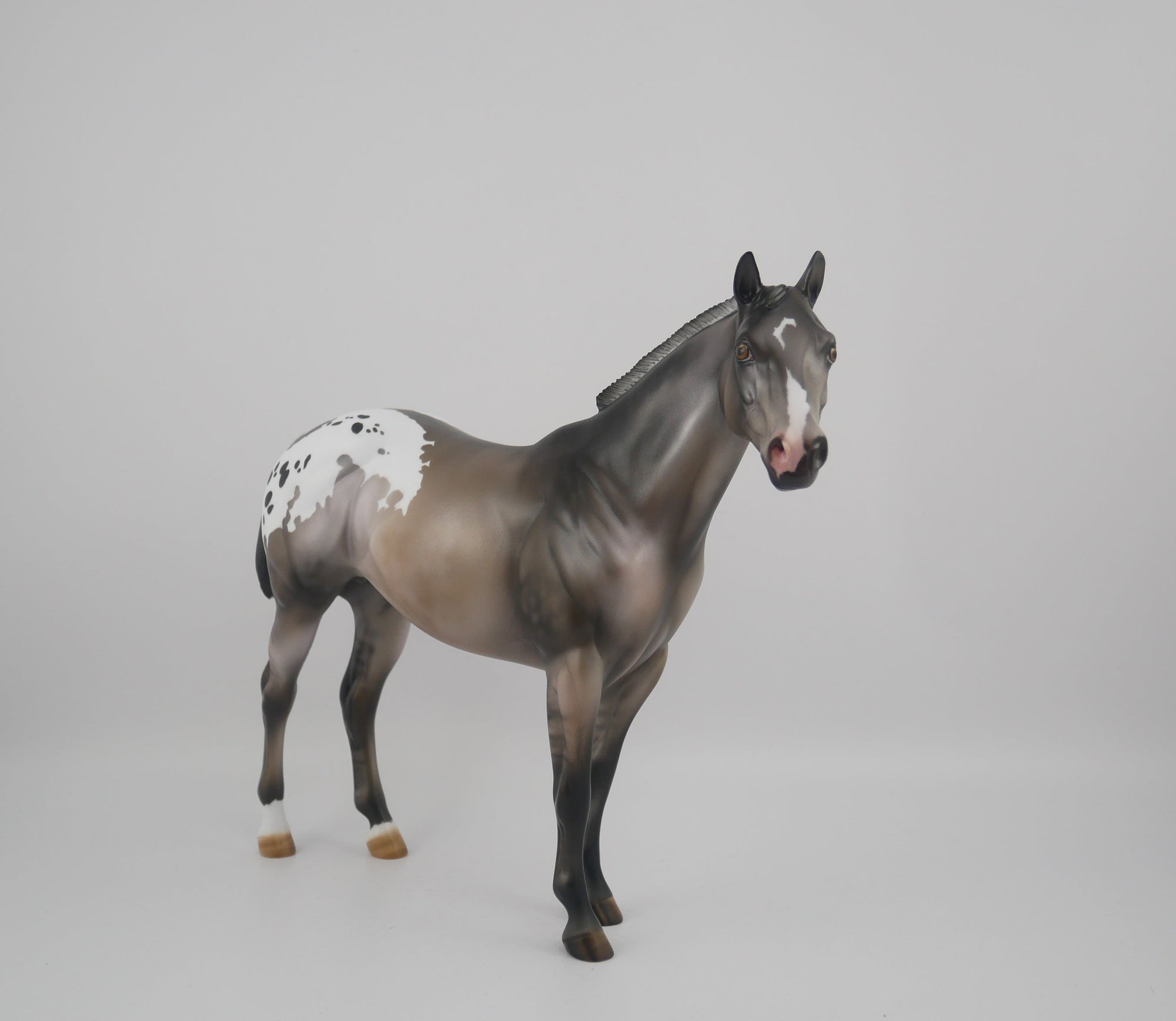 FRIDA-LE-25-GRULLA APPALOOSA FRIDAY DAILY RELEASE BY JULIE KEIM EQ 2020