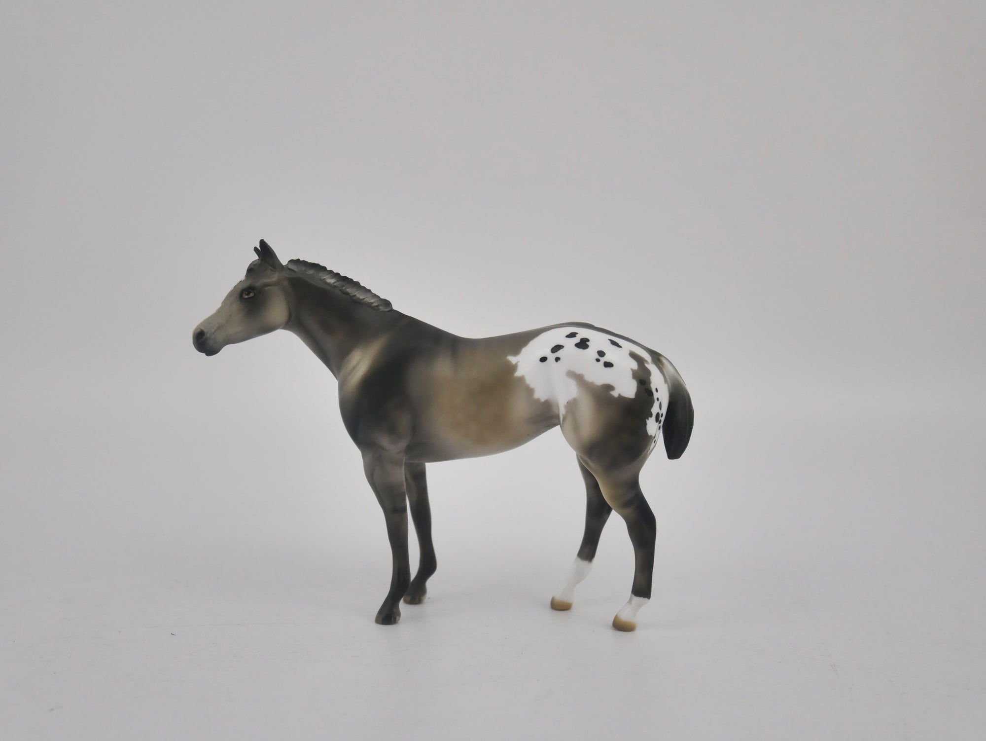 MINI ME FRIDA - LE-20 SILVER GRULLA APPALOOSA FRIDAY RELEASE BY JULIE KEIM EQ 2020