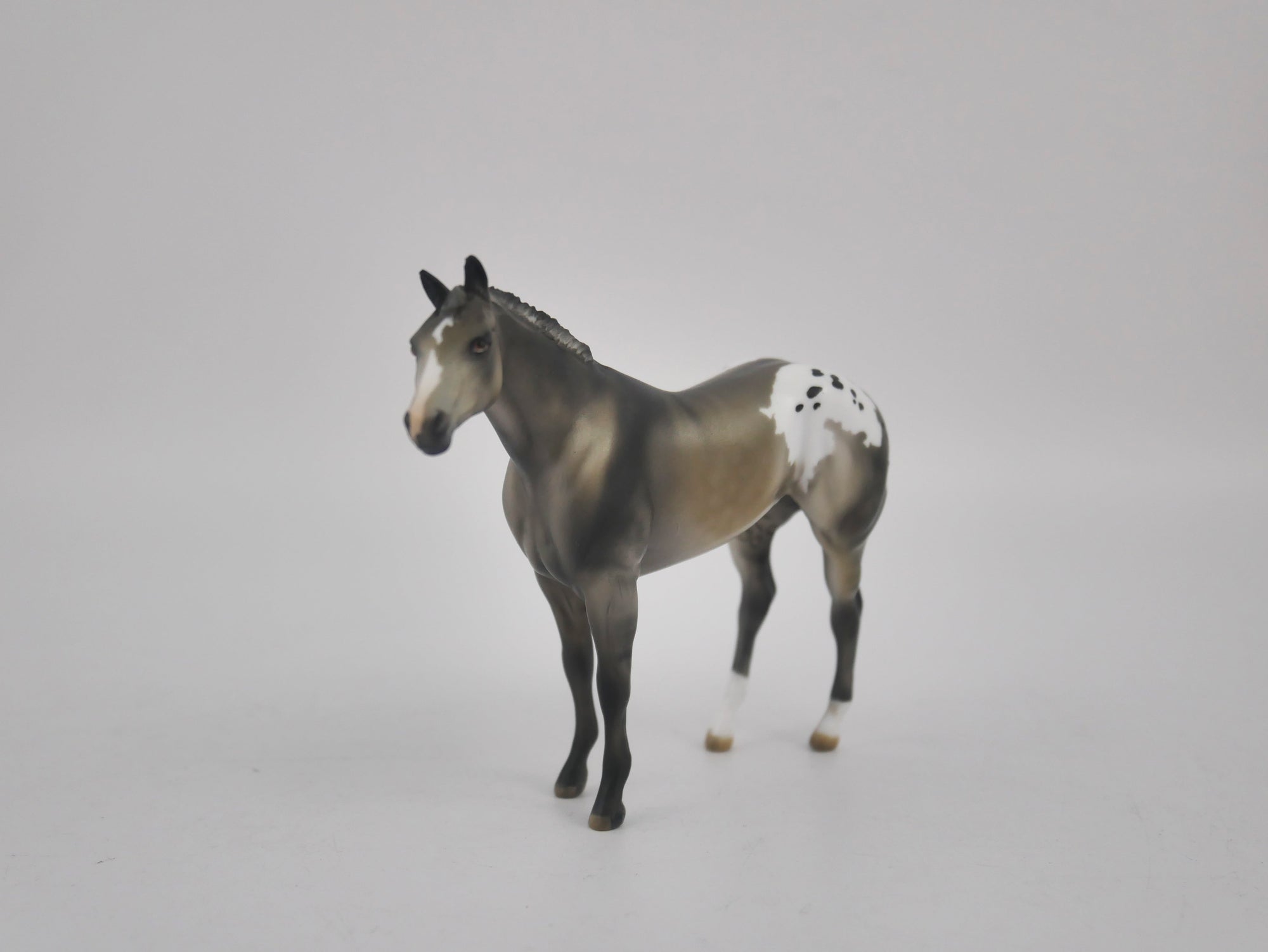 MINI ME FRIDA - LE-20 SILVER GRULLA APPALOOSA FRIDAY RELEASE BY JULIE KEIM EQ 2020