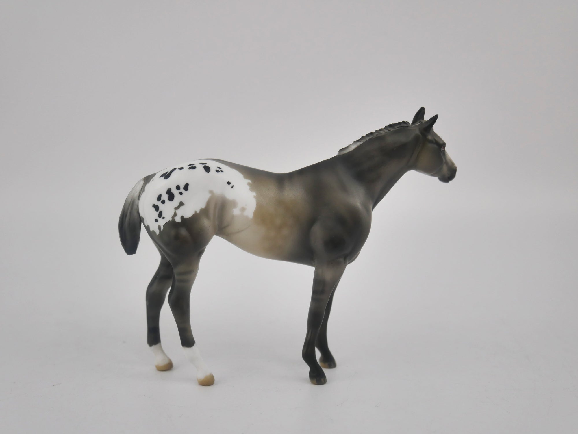 MINI ME FRIDA - LE-20 SILVER GRULLA APPALOOSA FRIDAY RELEASE BY JULIE KEIM EQ 2020