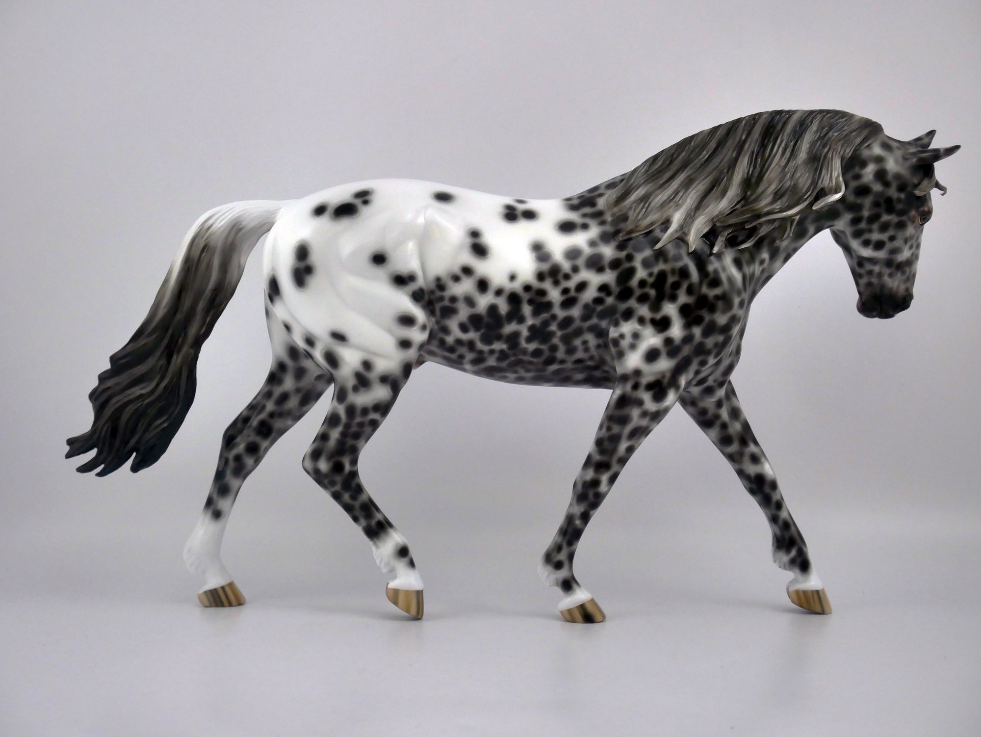 FRESCO-OOAK LOUD APPALOOSA IRISH DRAFT BY SHERYL LEISURE