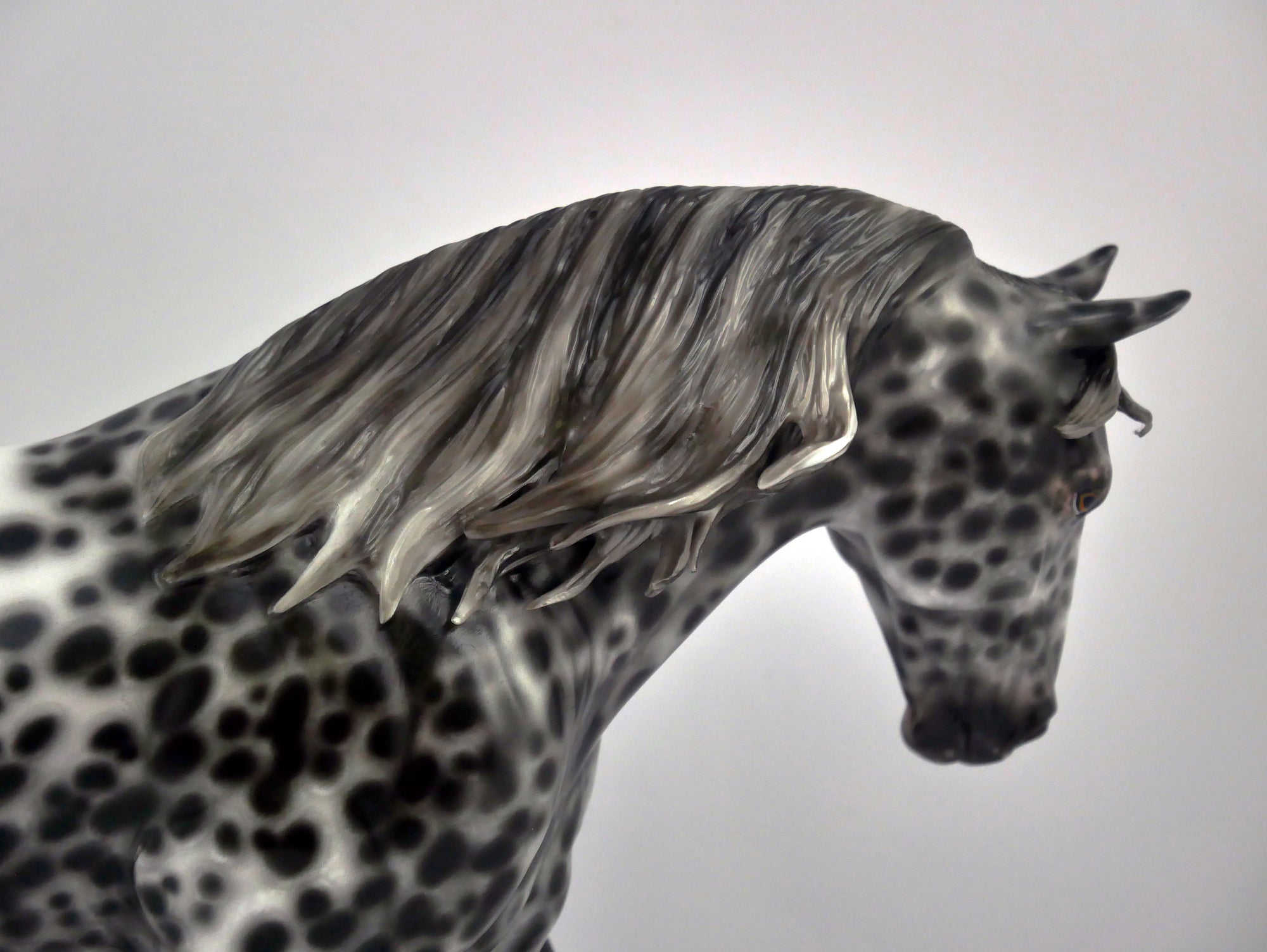 FRESCO-OOAK LOUD APPALOOSA IRISH DRAFT BY SHERYL LEISURE