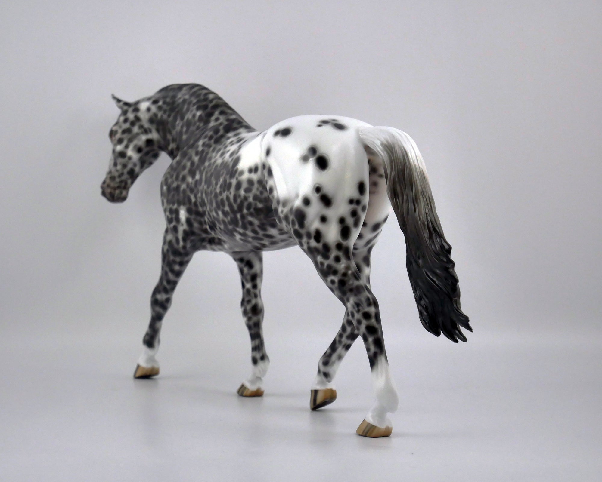 FRESCO-OOAK LOUD APPALOOSA IRISH DRAFT BY SHERYL LEISURE