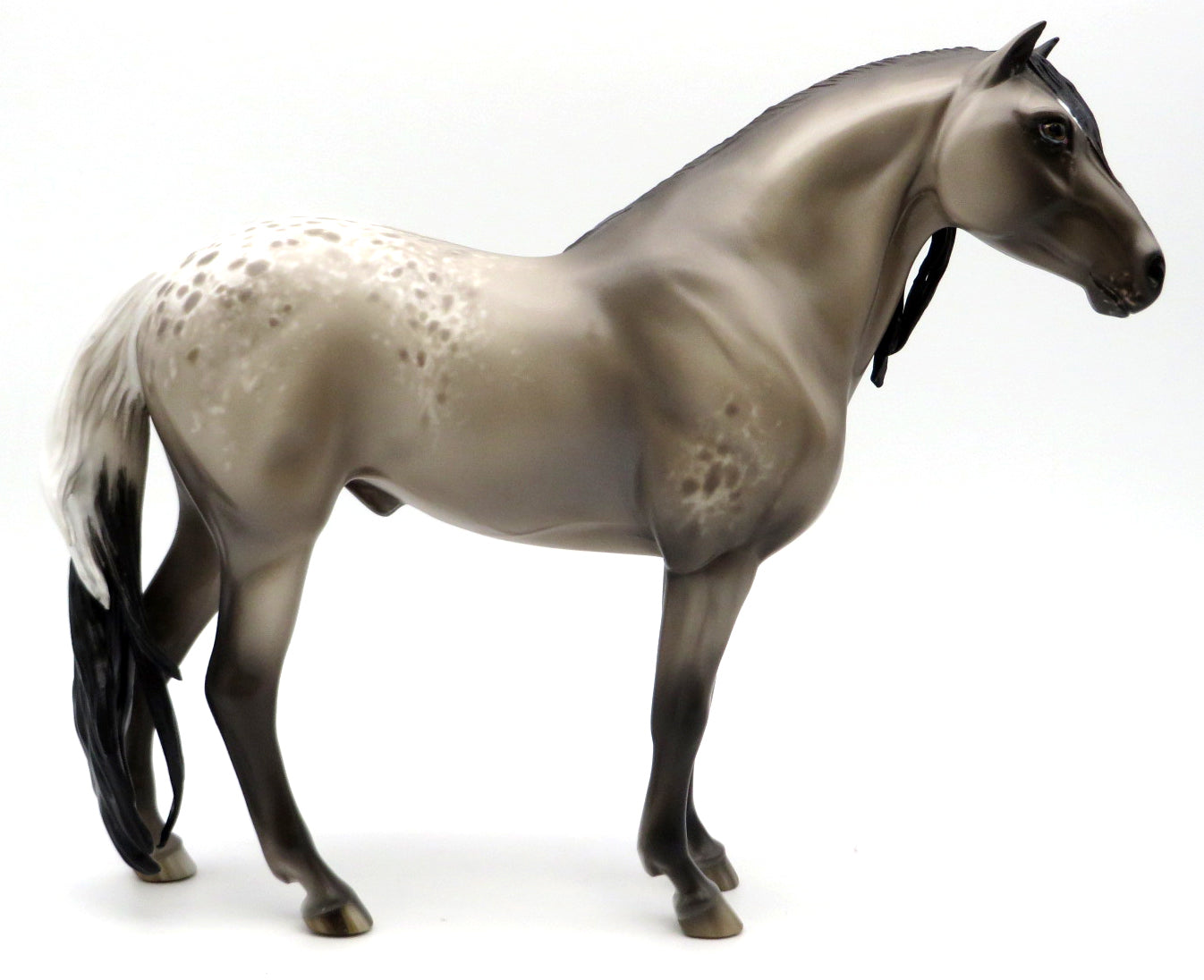 Gabriel- OOAK Grulla Appaloosa Mustang Painted by Sheryl Leisure 12/20/21