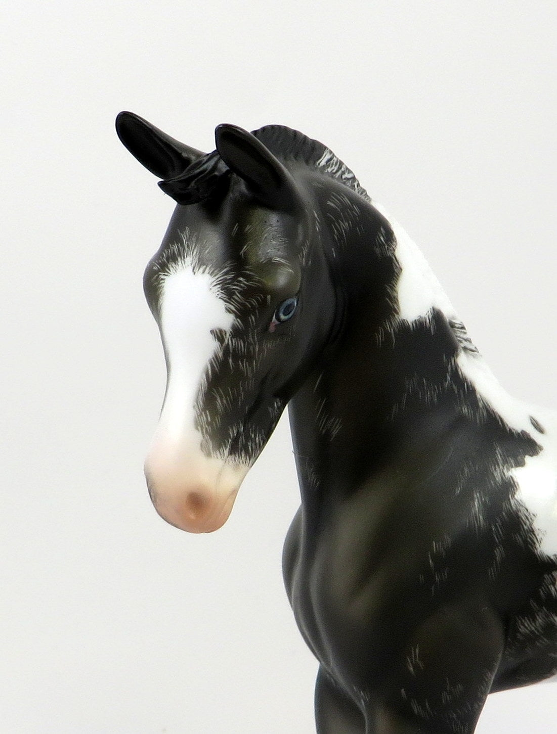 GARNIER-OOAK BLACK TOVERO ETCHED ARAB FOAL MODEL HORSE EQ 19