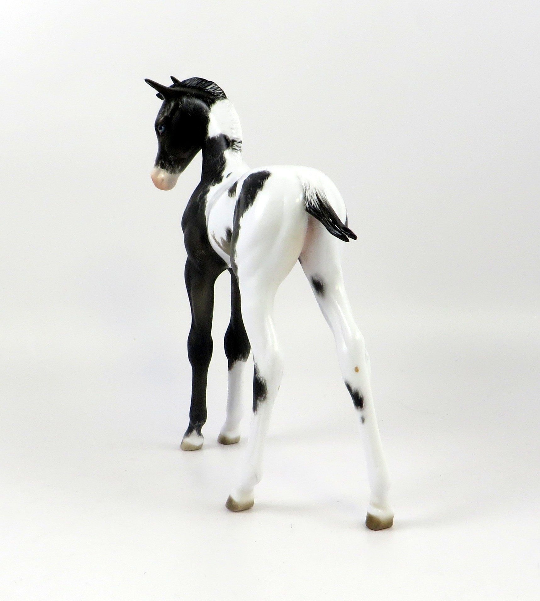 GARNIER-OOAK BLACK TOVERO ETCHED ARAB FOAL MODEL HORSE EQ 19