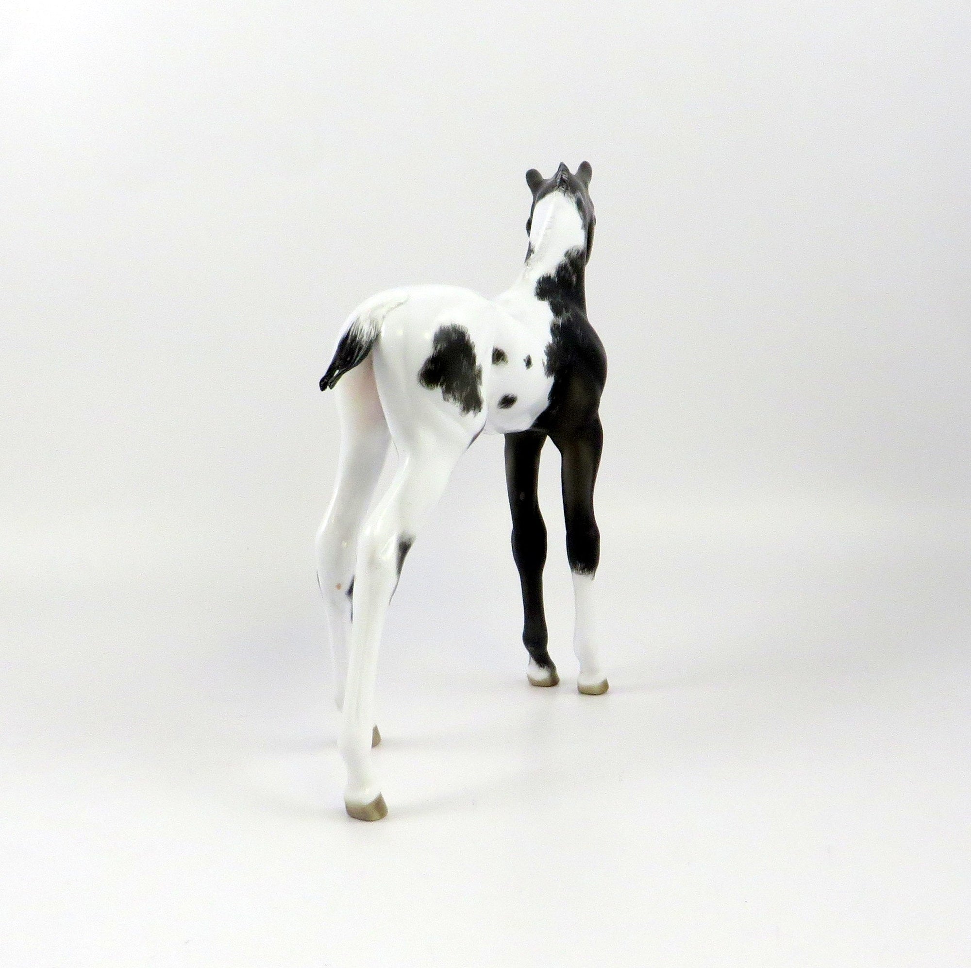 GARNIER-OOAK BLACK TOVERO ETCHED ARAB FOAL MODEL HORSE EQ 19