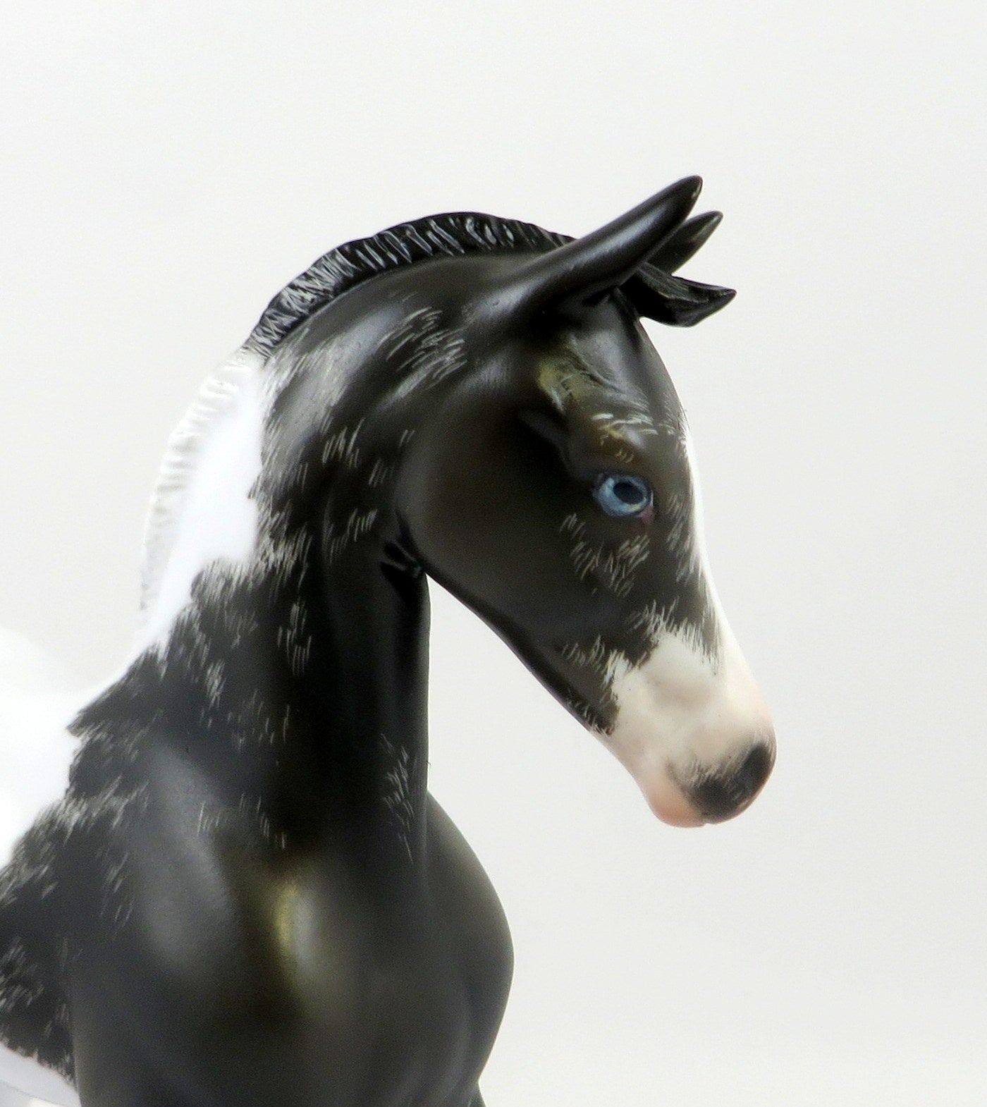 GARNIER-OOAK BLACK TOVERO ETCHED ARAB FOAL MODEL HORSE EQ 19