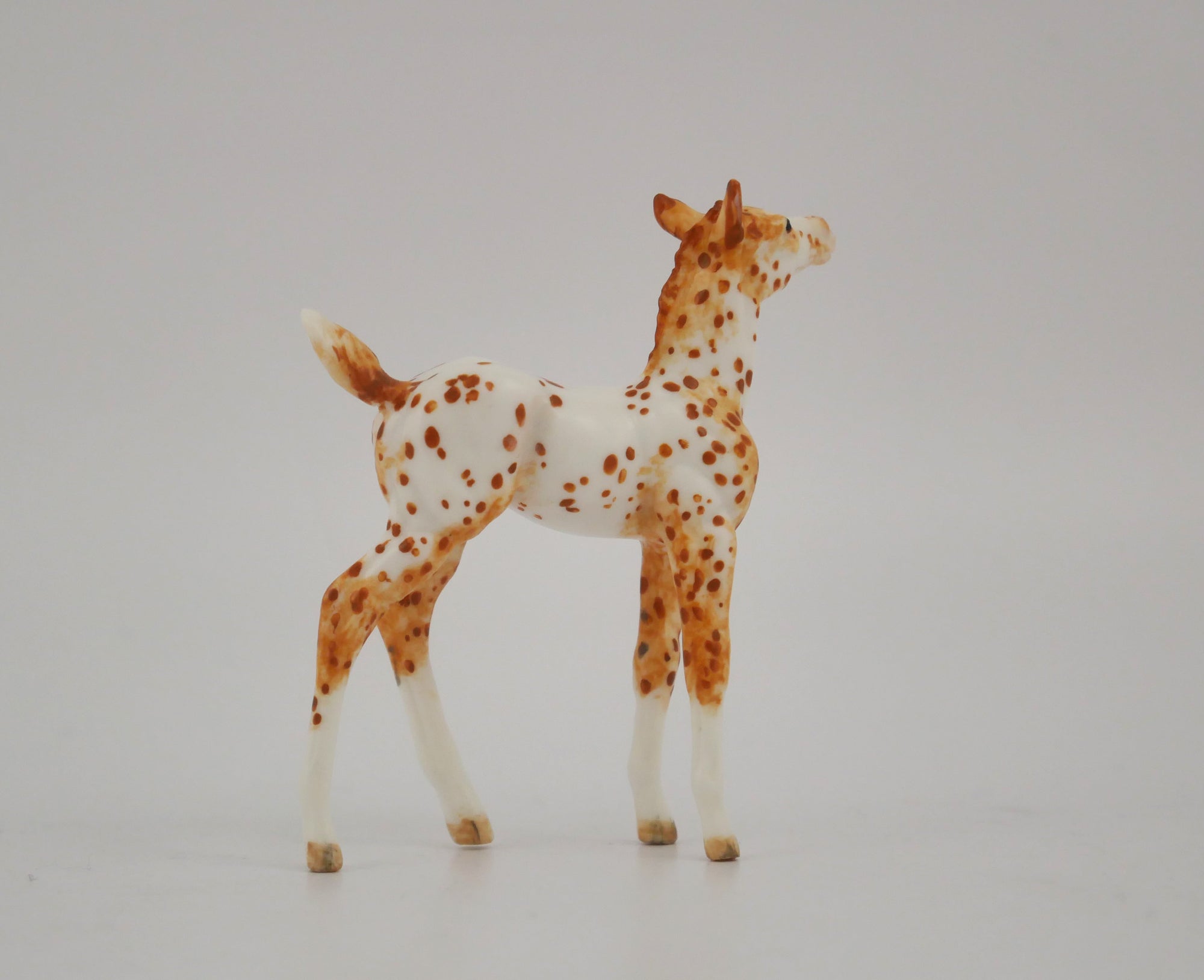 GINGER -OOAK CHESTNUT LEOPARD APPALOOSA FOAL BY ANDREA