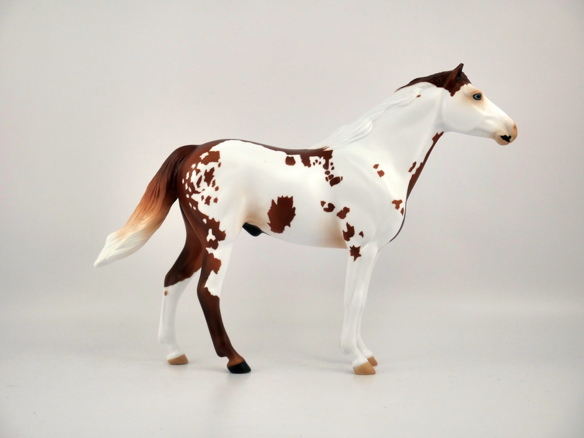 GINGERY-OOAK CHESTNUT PINTO MUSTANG