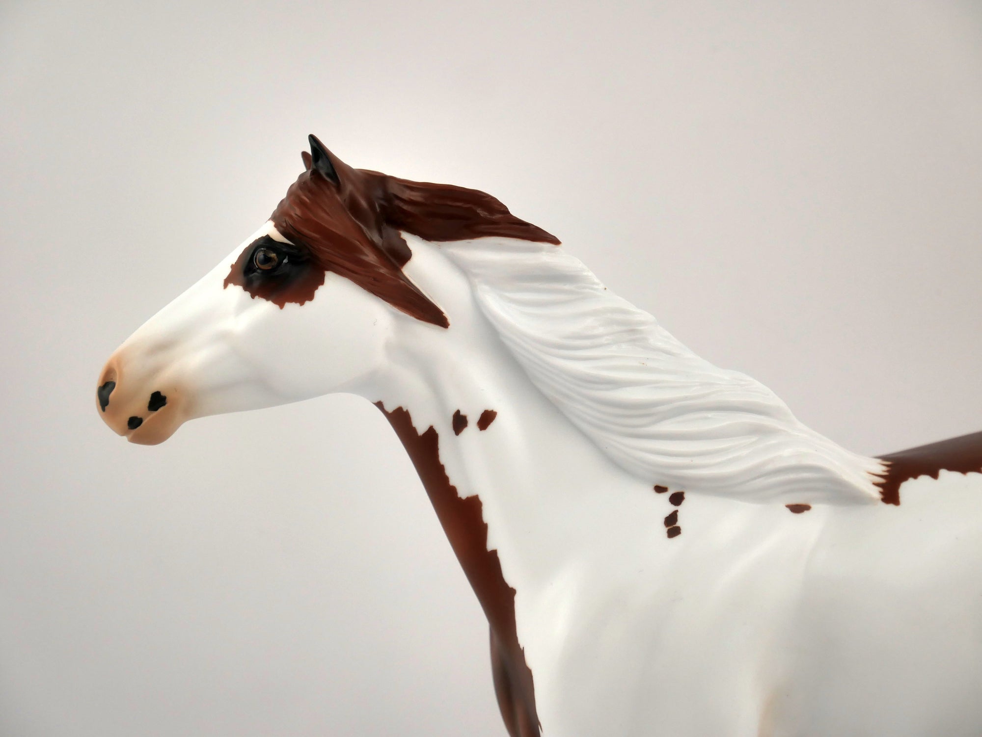 GINGERY-OOAK CHESTNUT PINTO MUSTANG