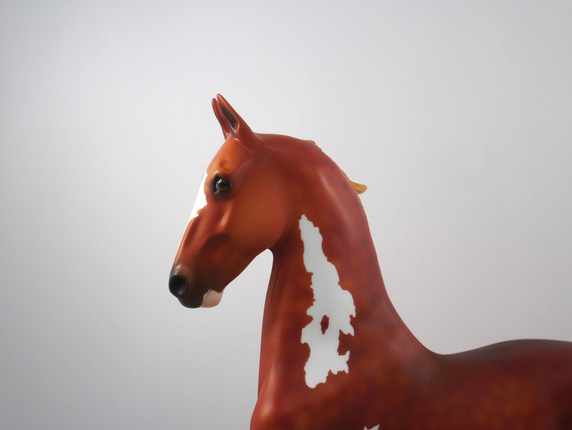 GOAL-OOAK Chestnut Paint Saddlebred SB21