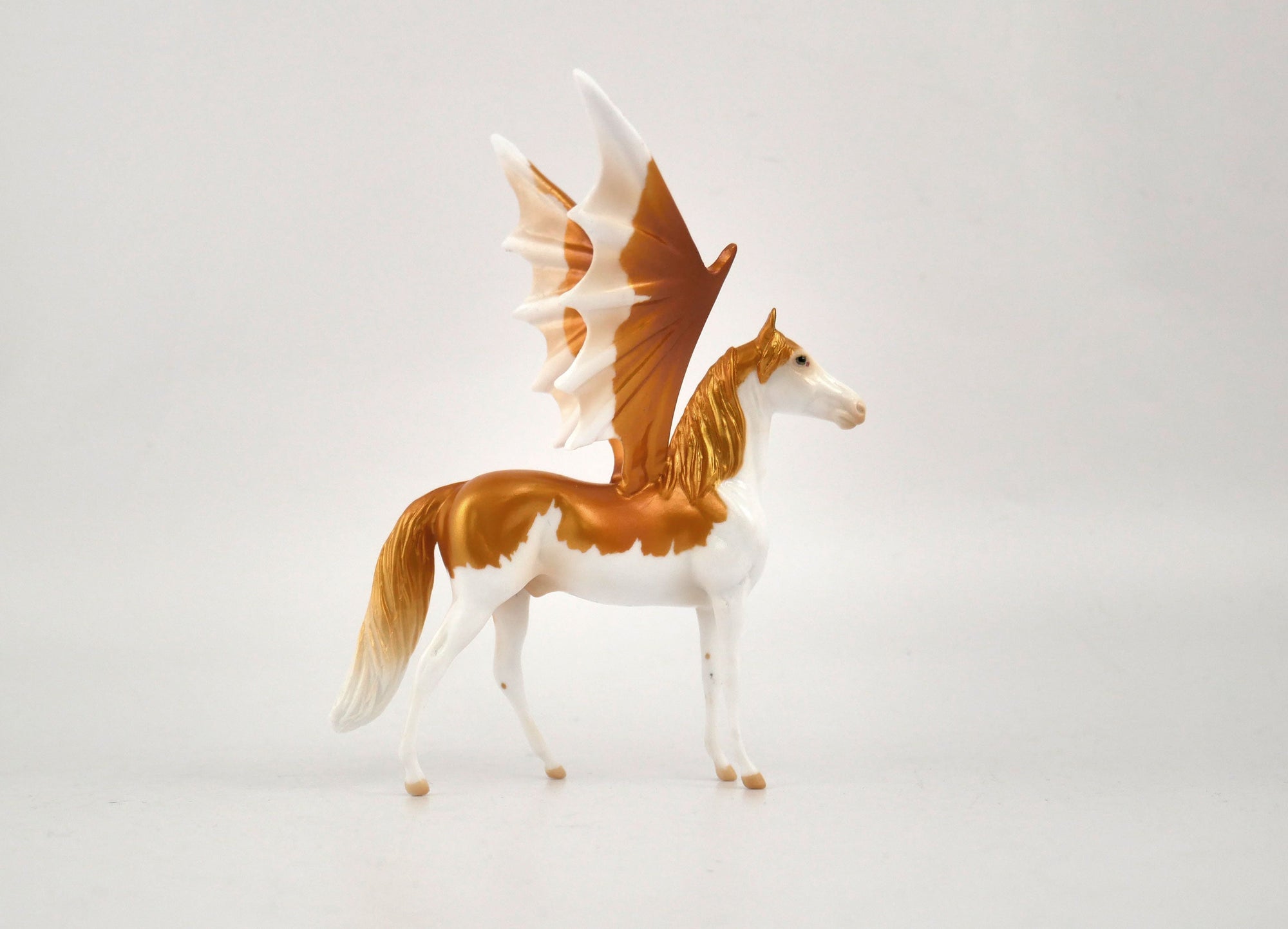 Golden Pumpkin-OOAK Morgan Chip By Audrey Dixon MM 2020