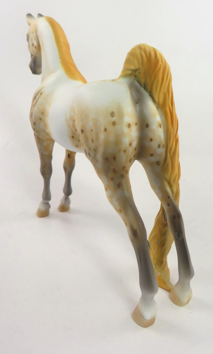 GOLDIE - OOAK GOLDEN LEOPARD APPY SADDLEBRED PEBBLE BY AL KATT WHS19