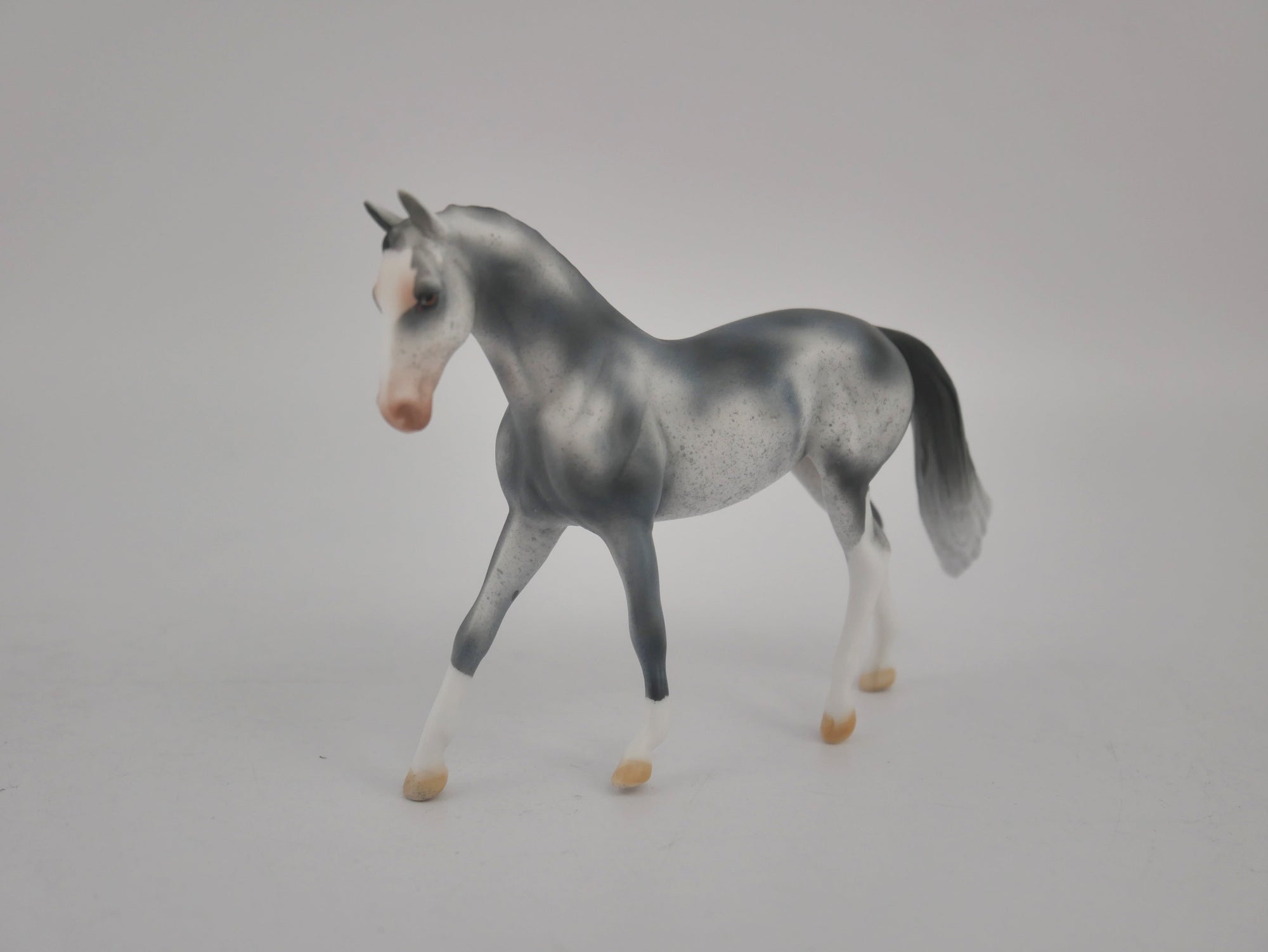 EQUILOCITY 2020 GRAB BAGS