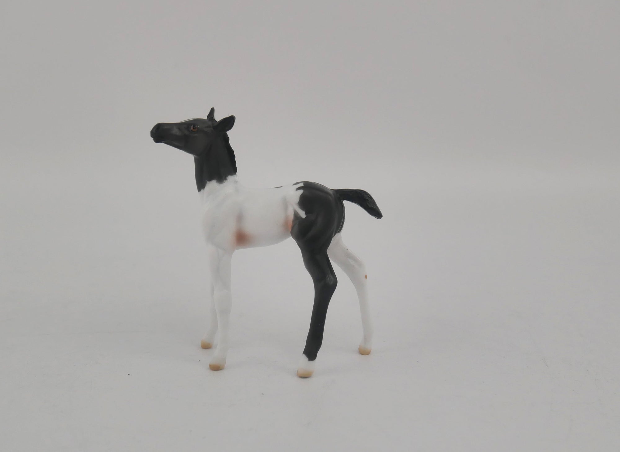 EQUILOCITY 2020 GRAB BAGS